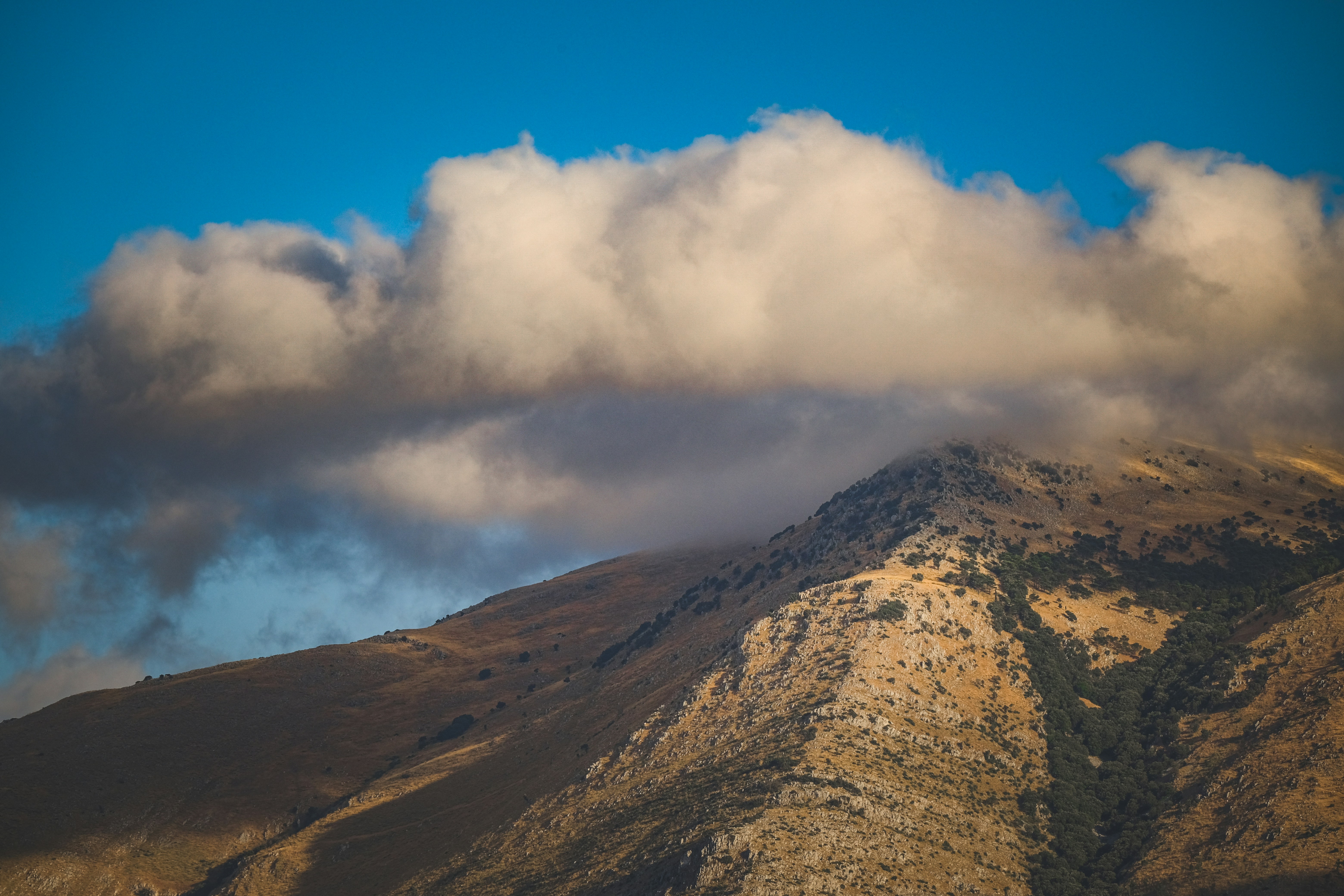 Photo by francesco_ungaro