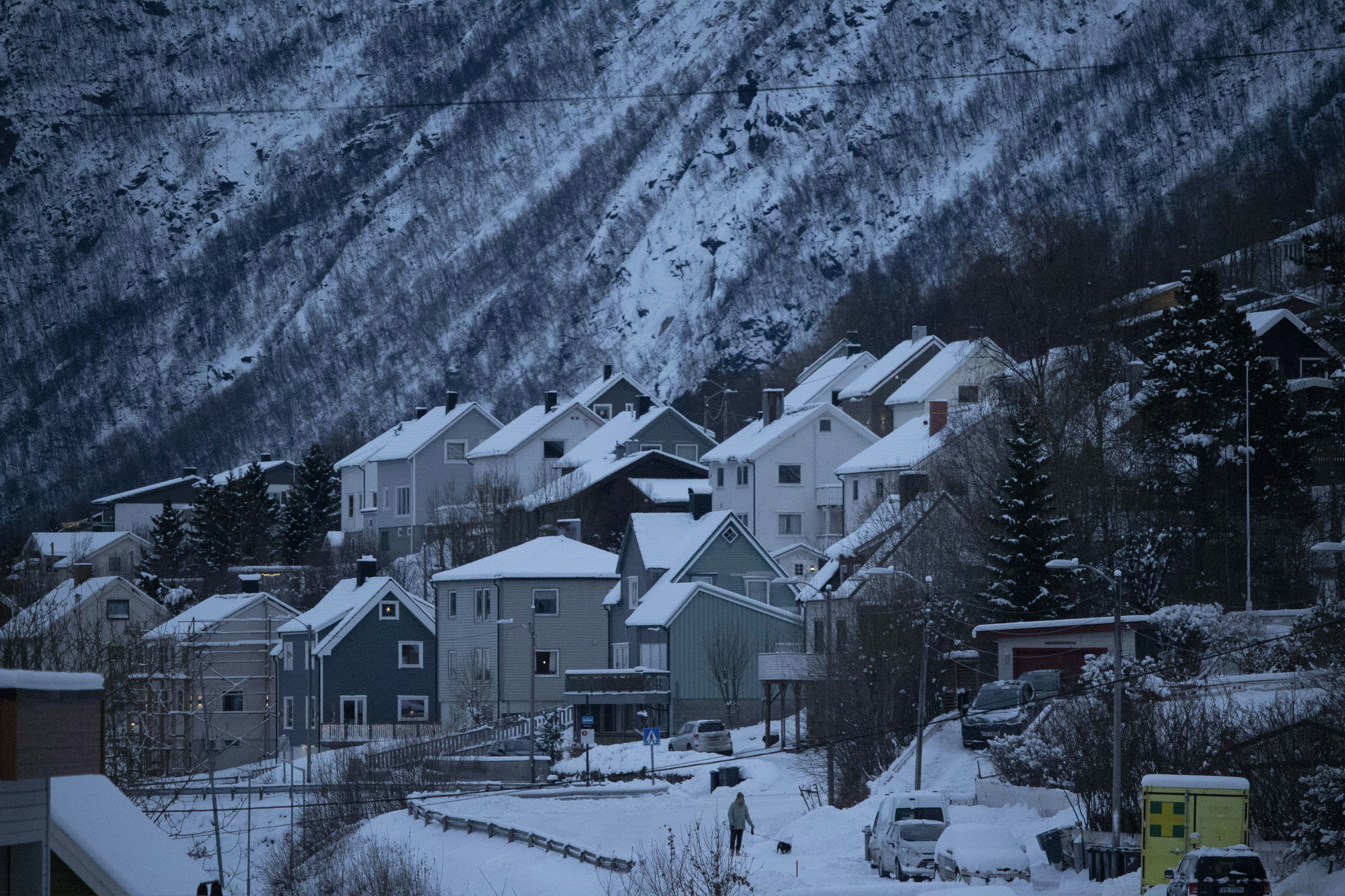 a snow covered town with a mountain in the background