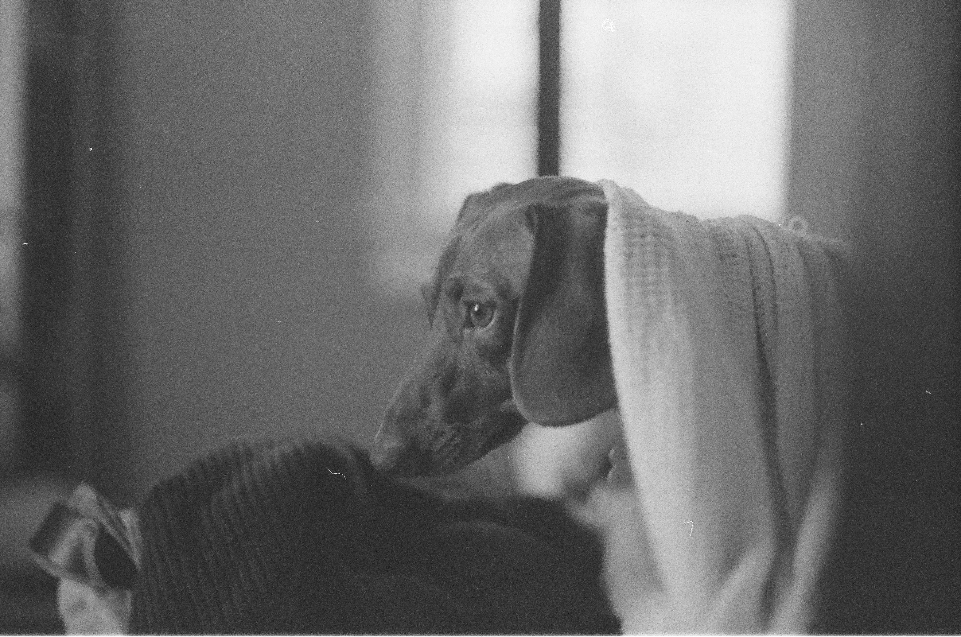 Photo by blakecheekk