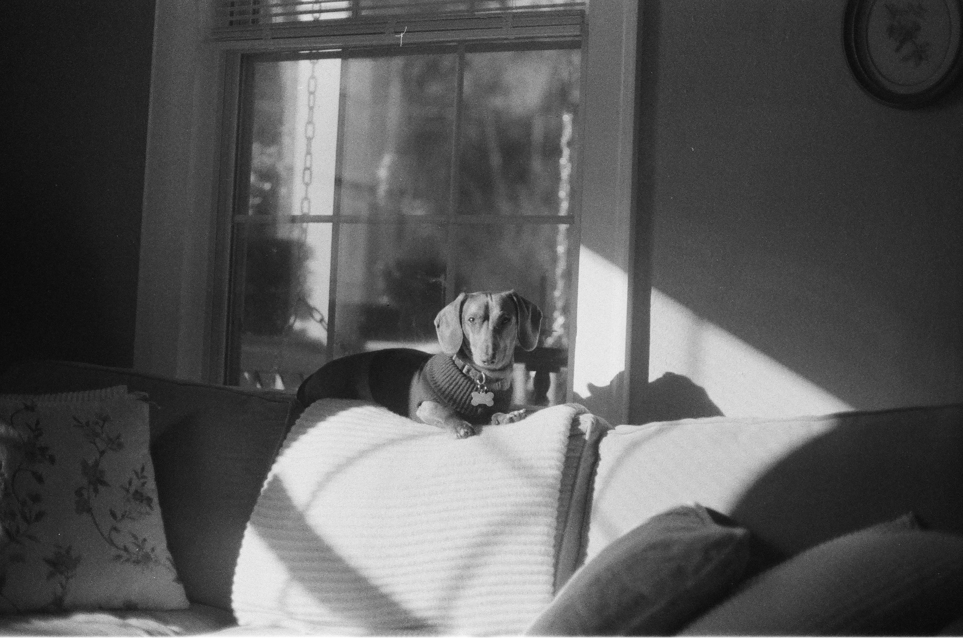 Photo by blakecheekk