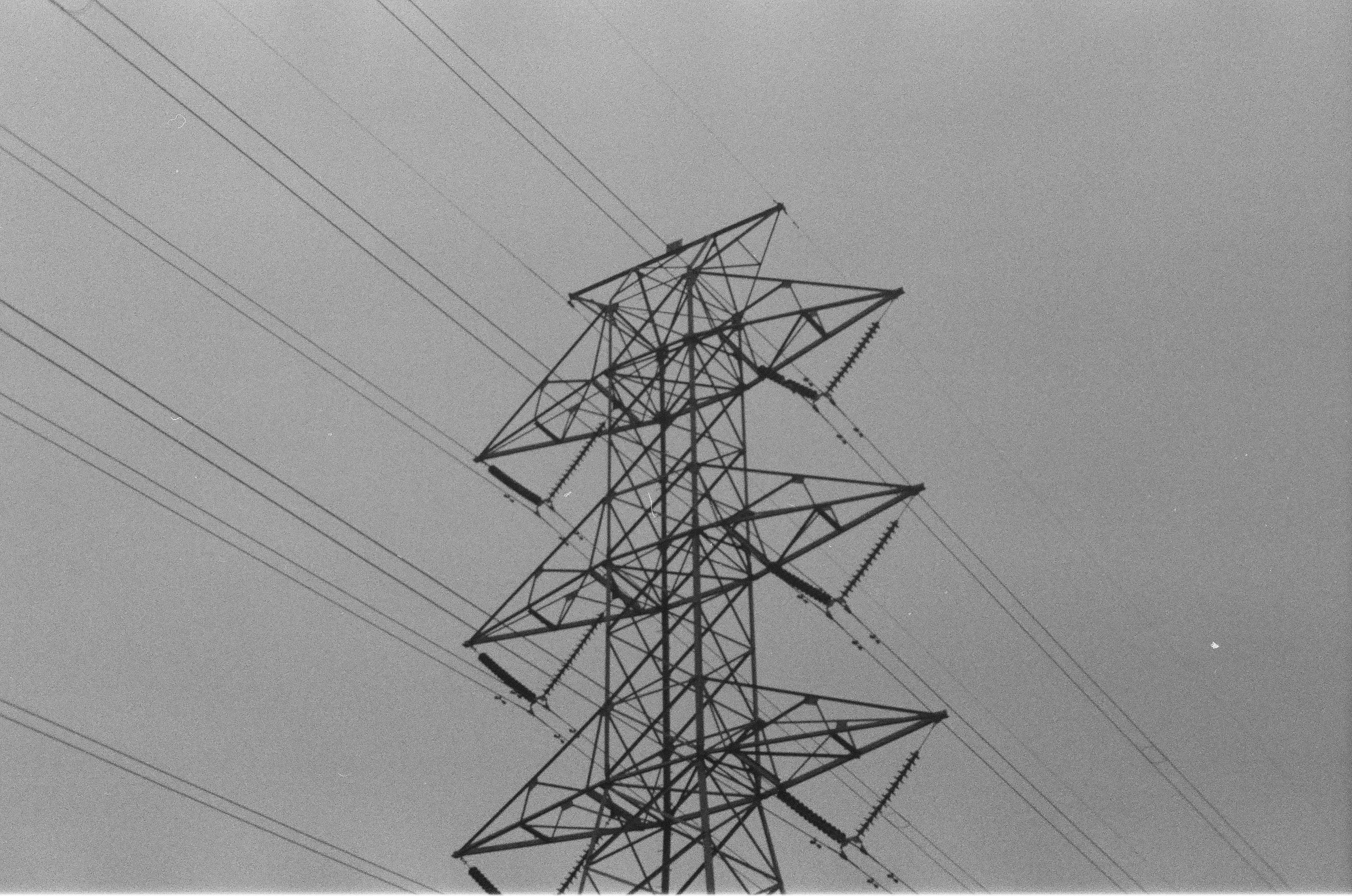 Photo by blakecheekk