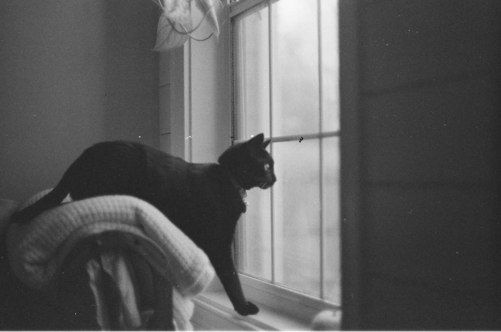 a black cat sitting on top of a window sill