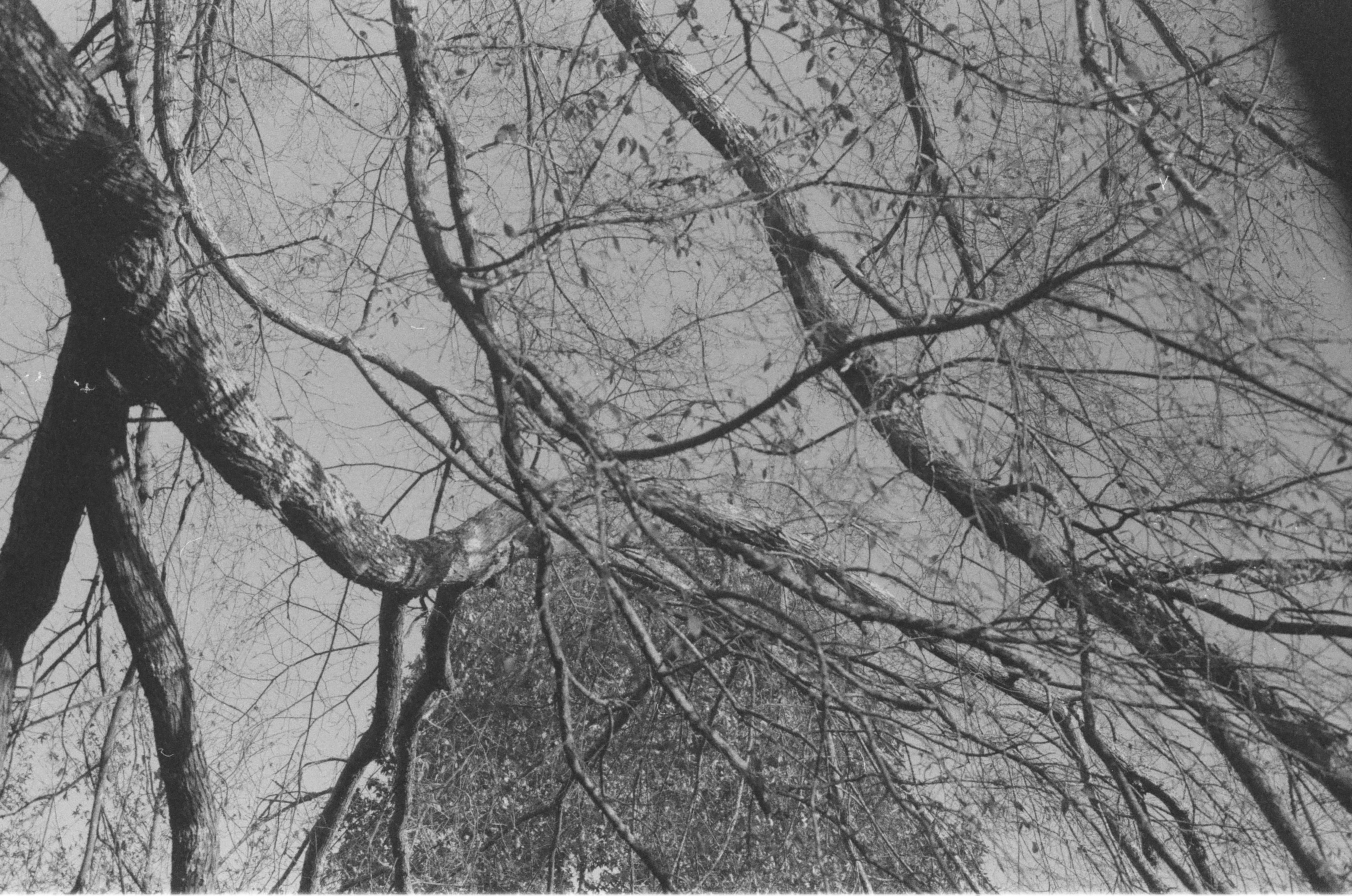 Photo by blakecheekk