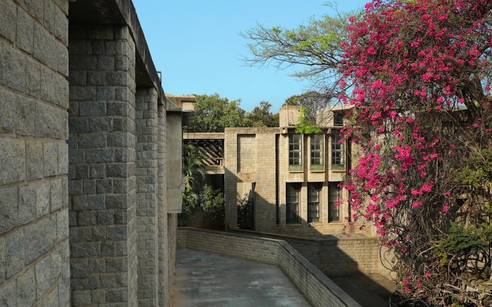 a stone building with a pink tree in the foreground