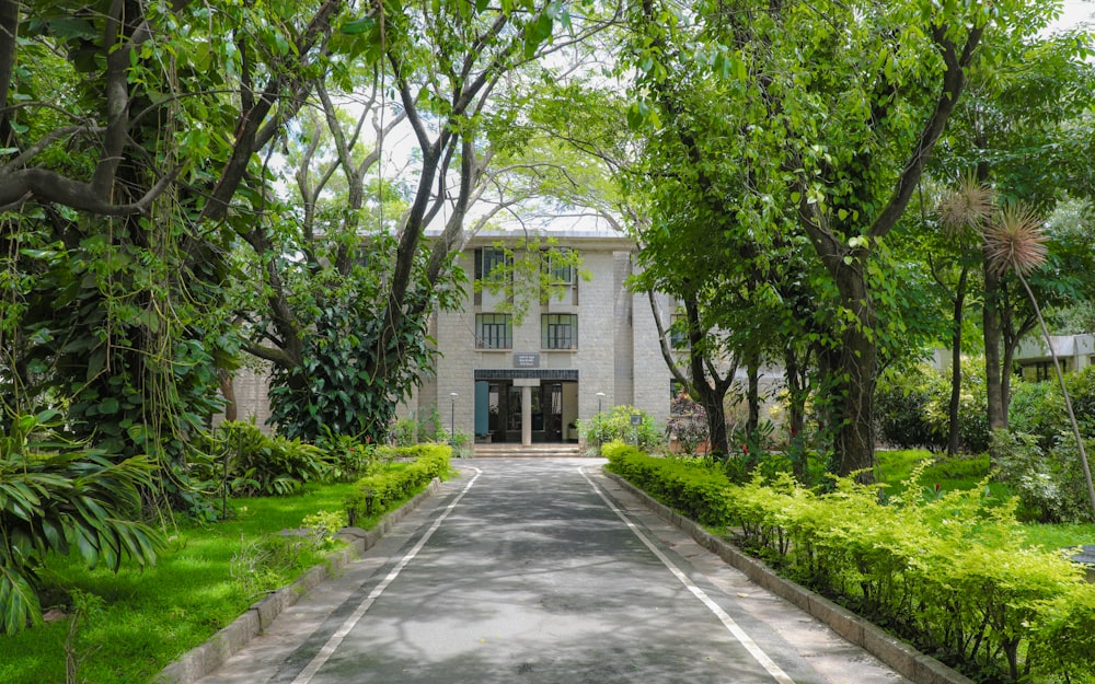 a large white building surrounded by lush green trees