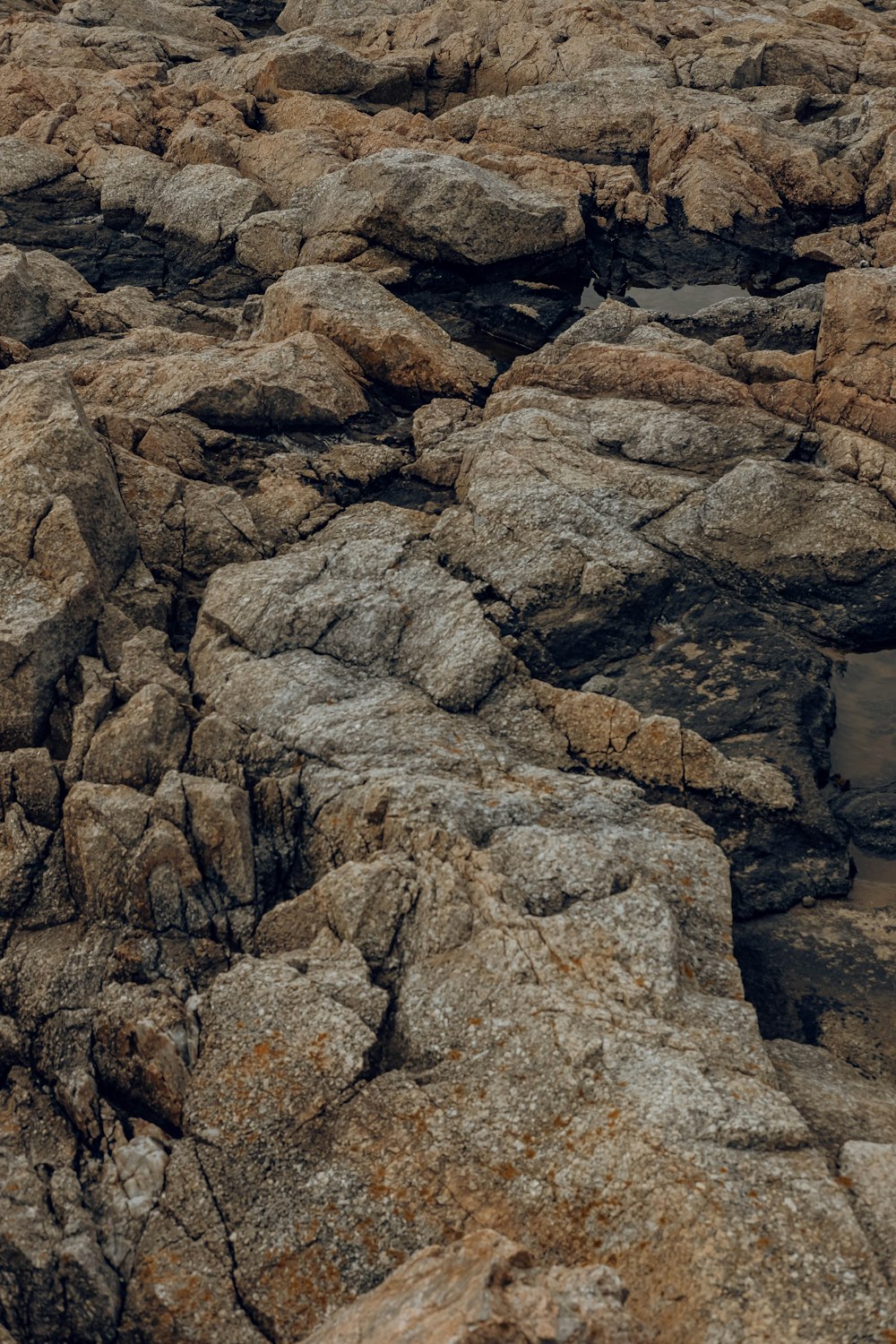 a bird is sitting on a rock formation