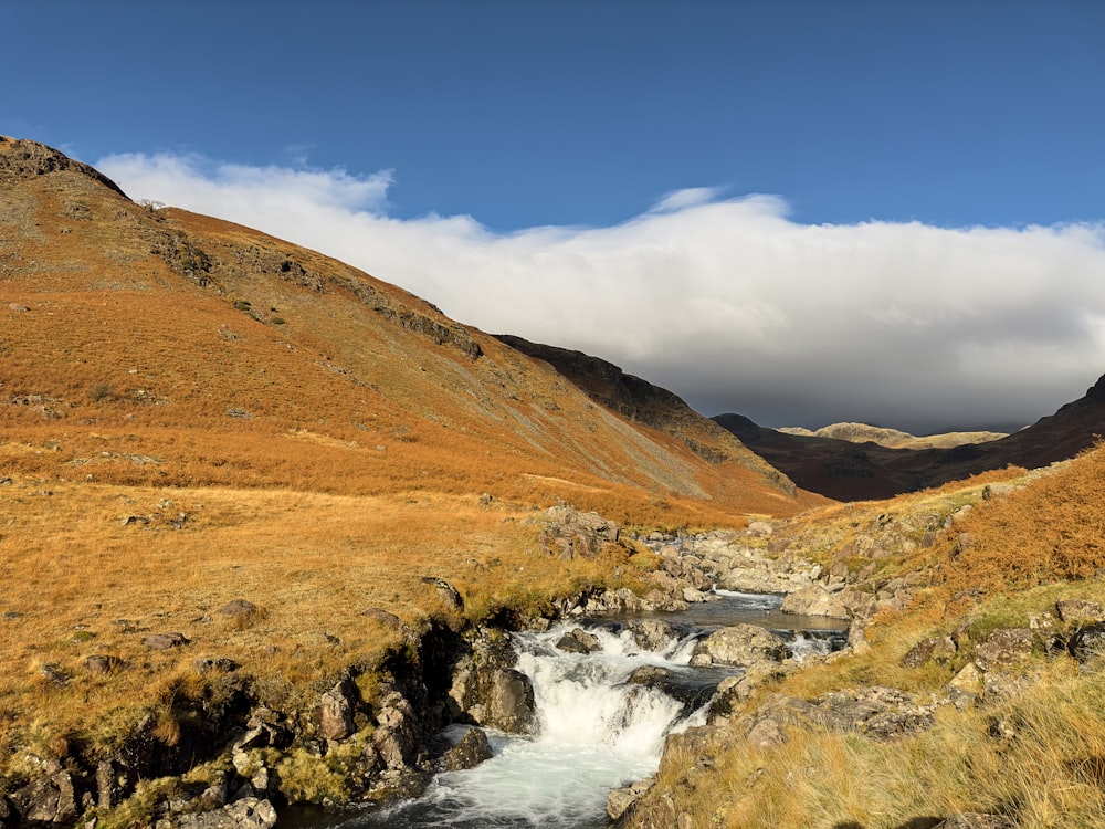 a stream running through a lush green valley