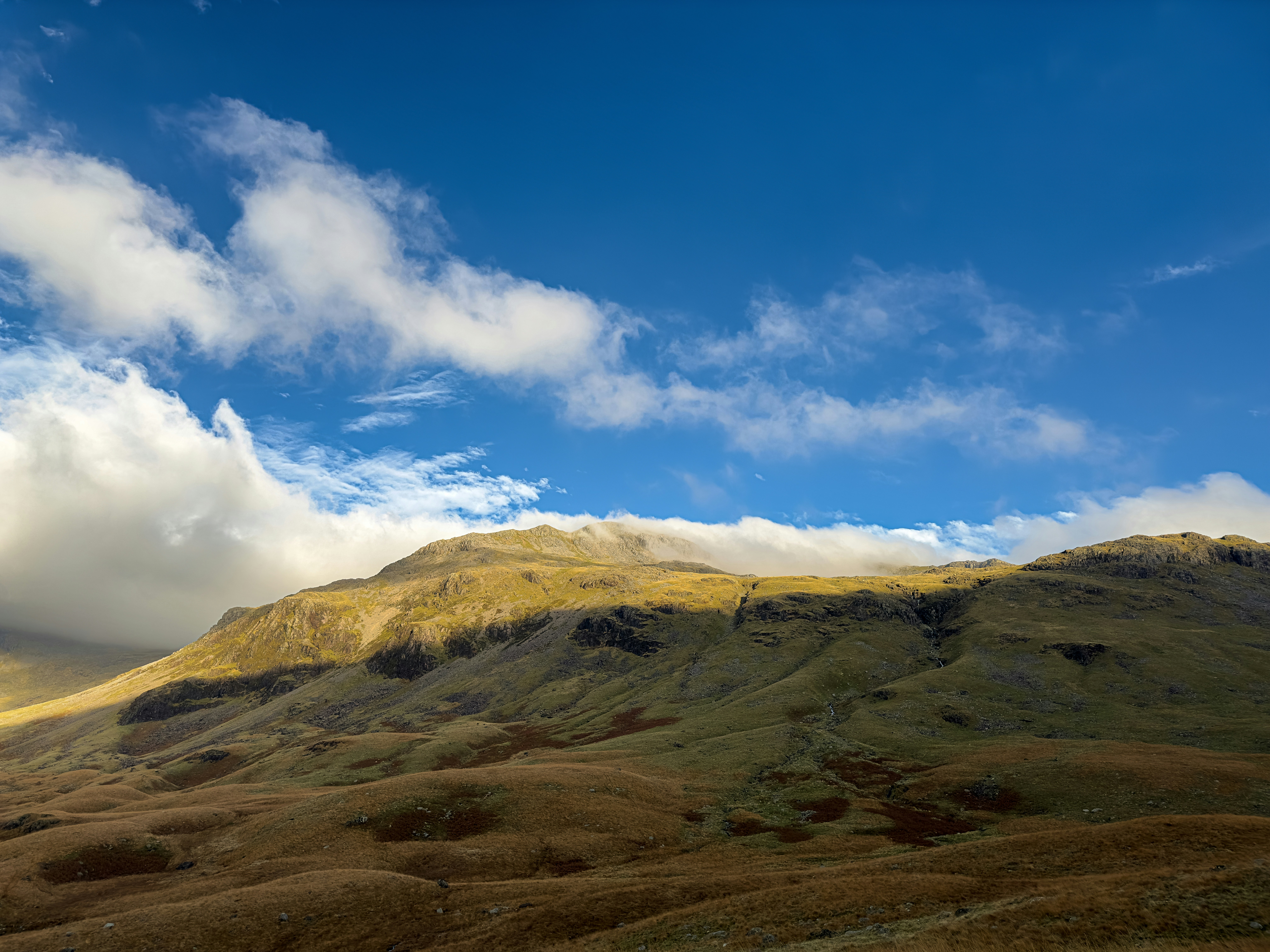 Photo by schuckeltphoto