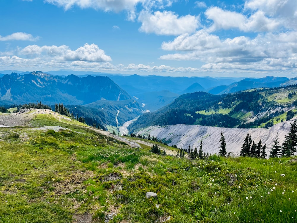 a scenic view of a valley with mountains in the background