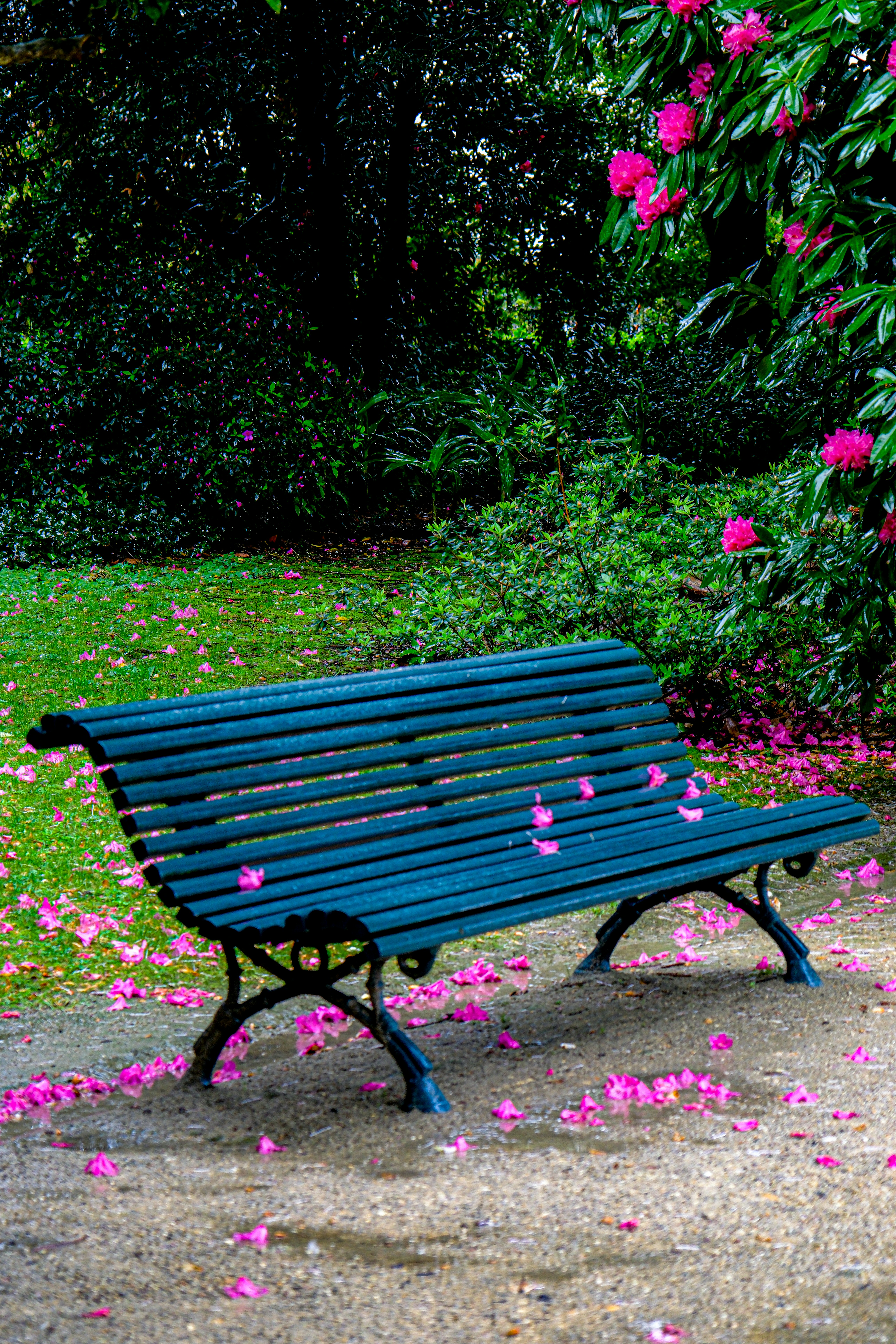 Photo by cestmoisheedy