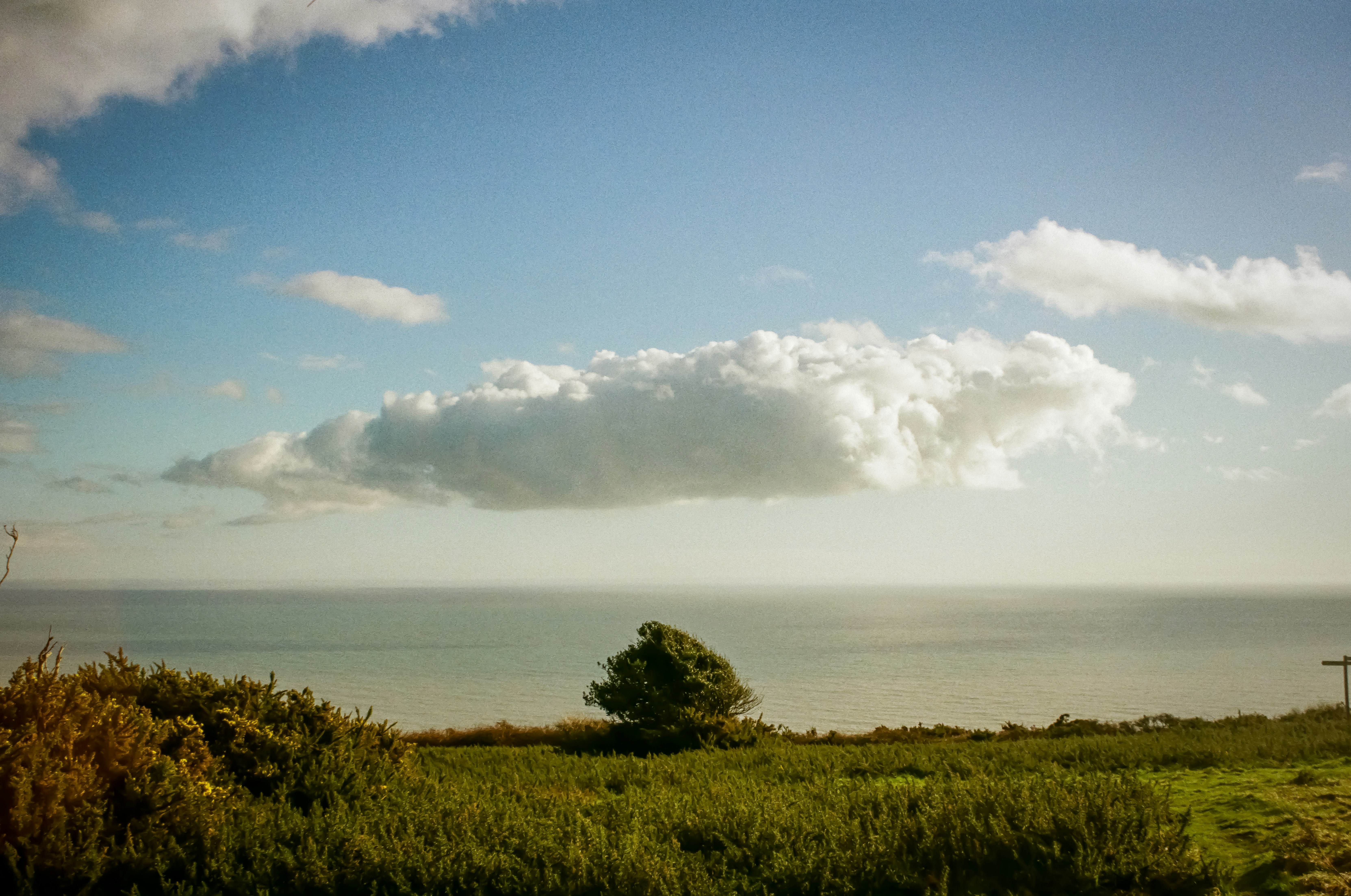 Photo by ashleygorringe