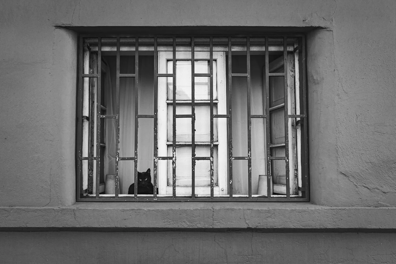 窓辺で外を見ている猫のいる建物