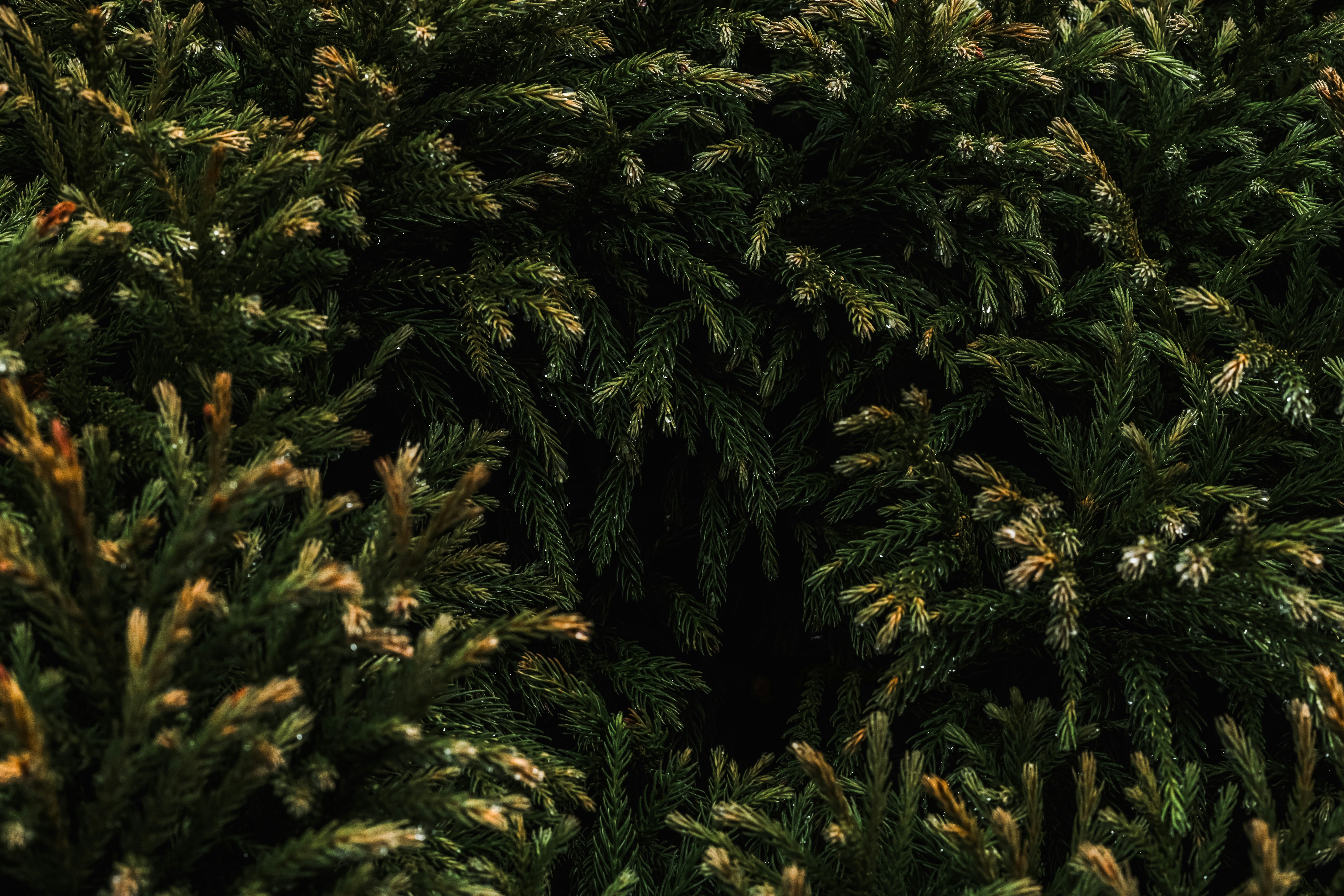 Photo by blakecheekk