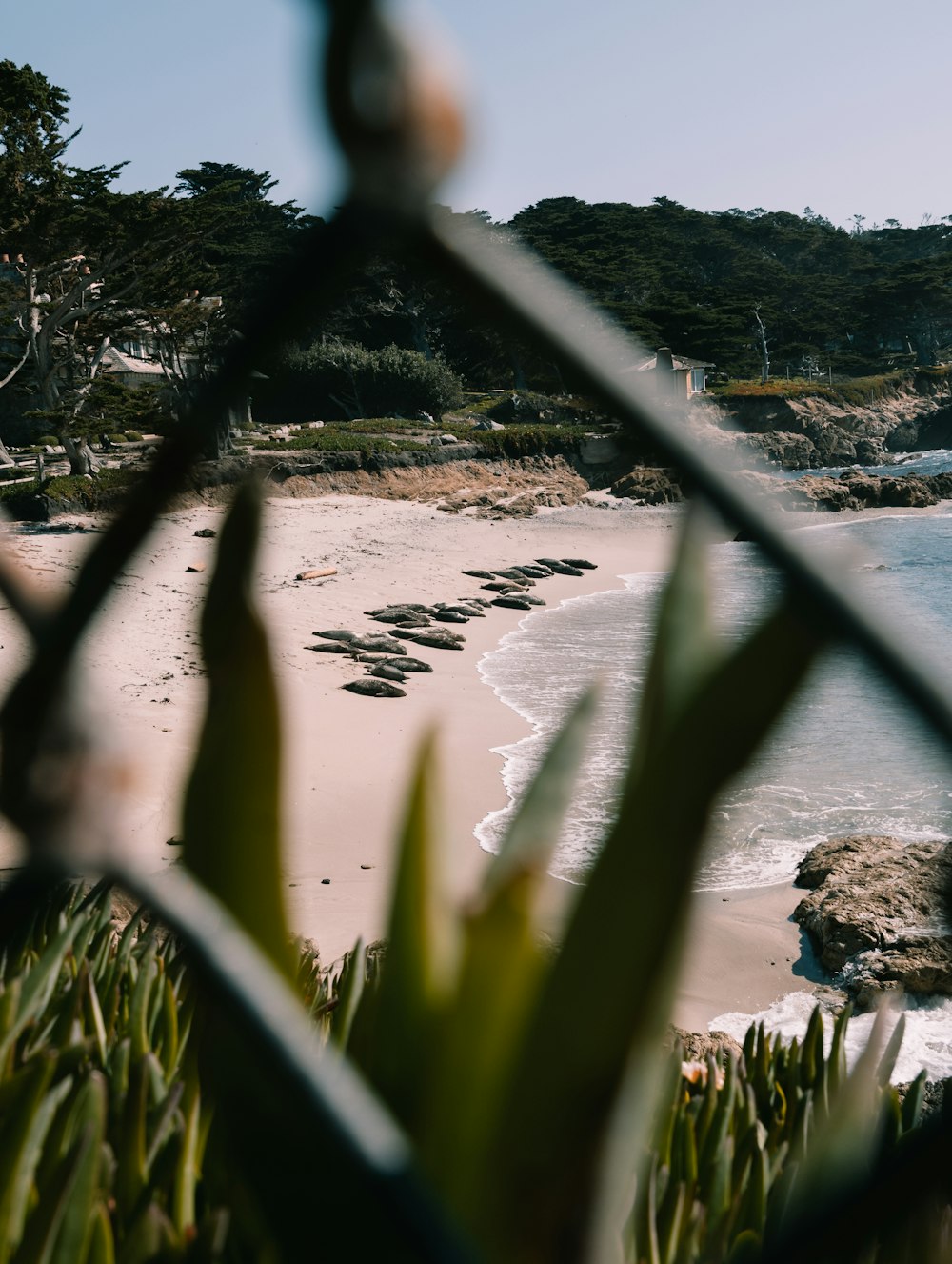 a view of a beach through a fence