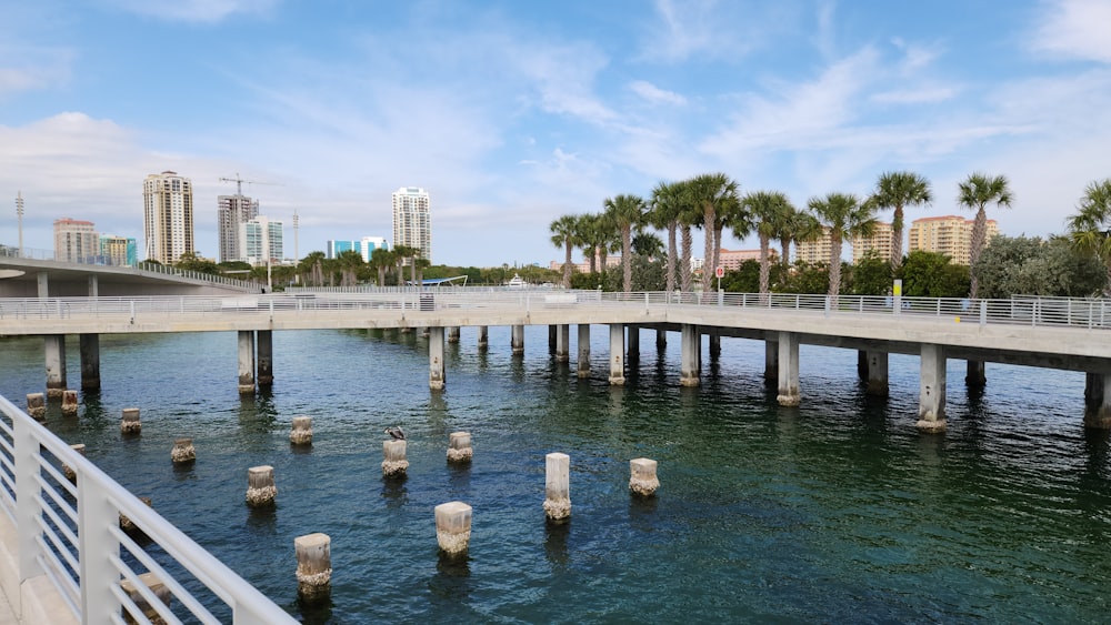 a bridge over a body of water with palm trees in the background