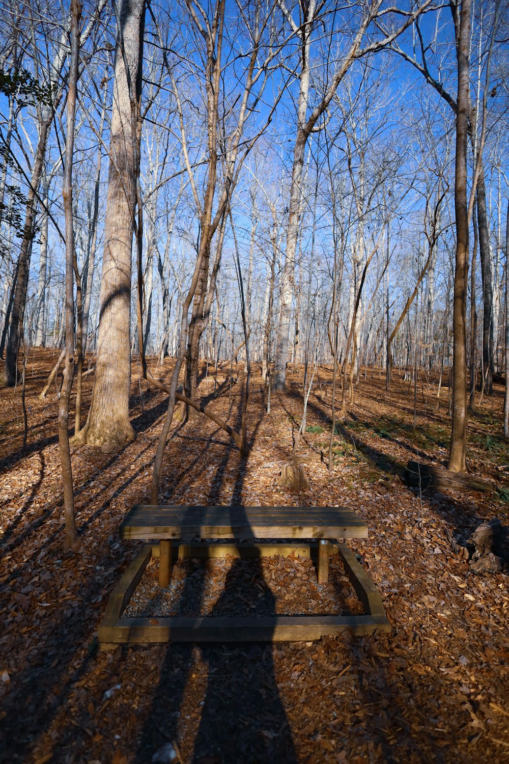 a picnic table sitting in the middle of a forest