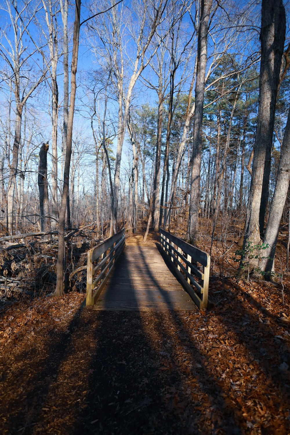 a wooden bridge in the middle of a wooded area