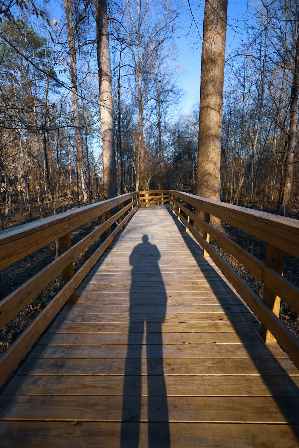a shadow of a person standing on a bridge