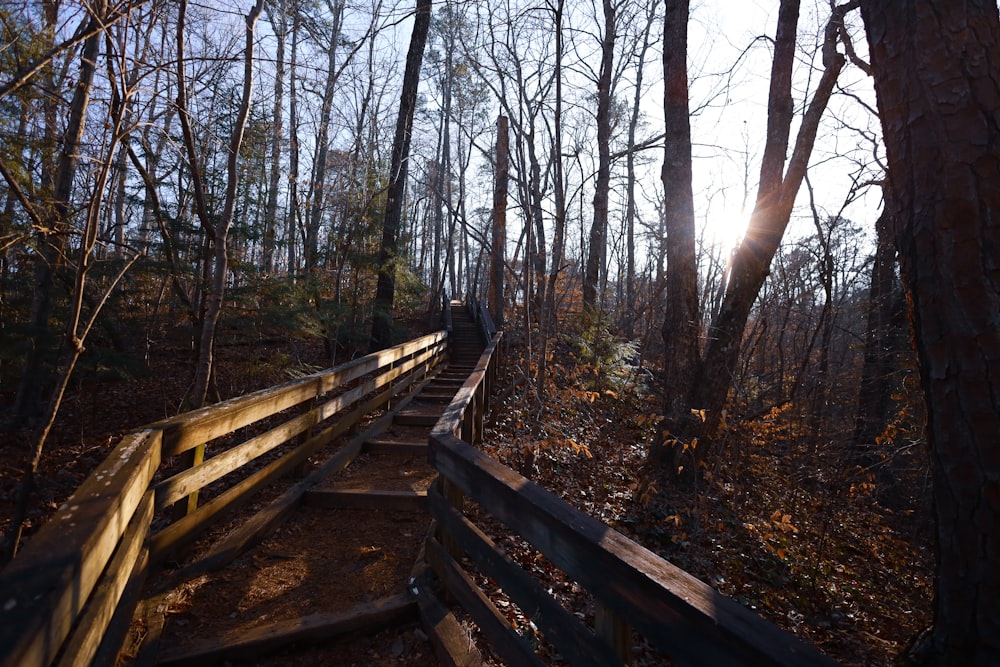 a wooden path in the woods with trees
