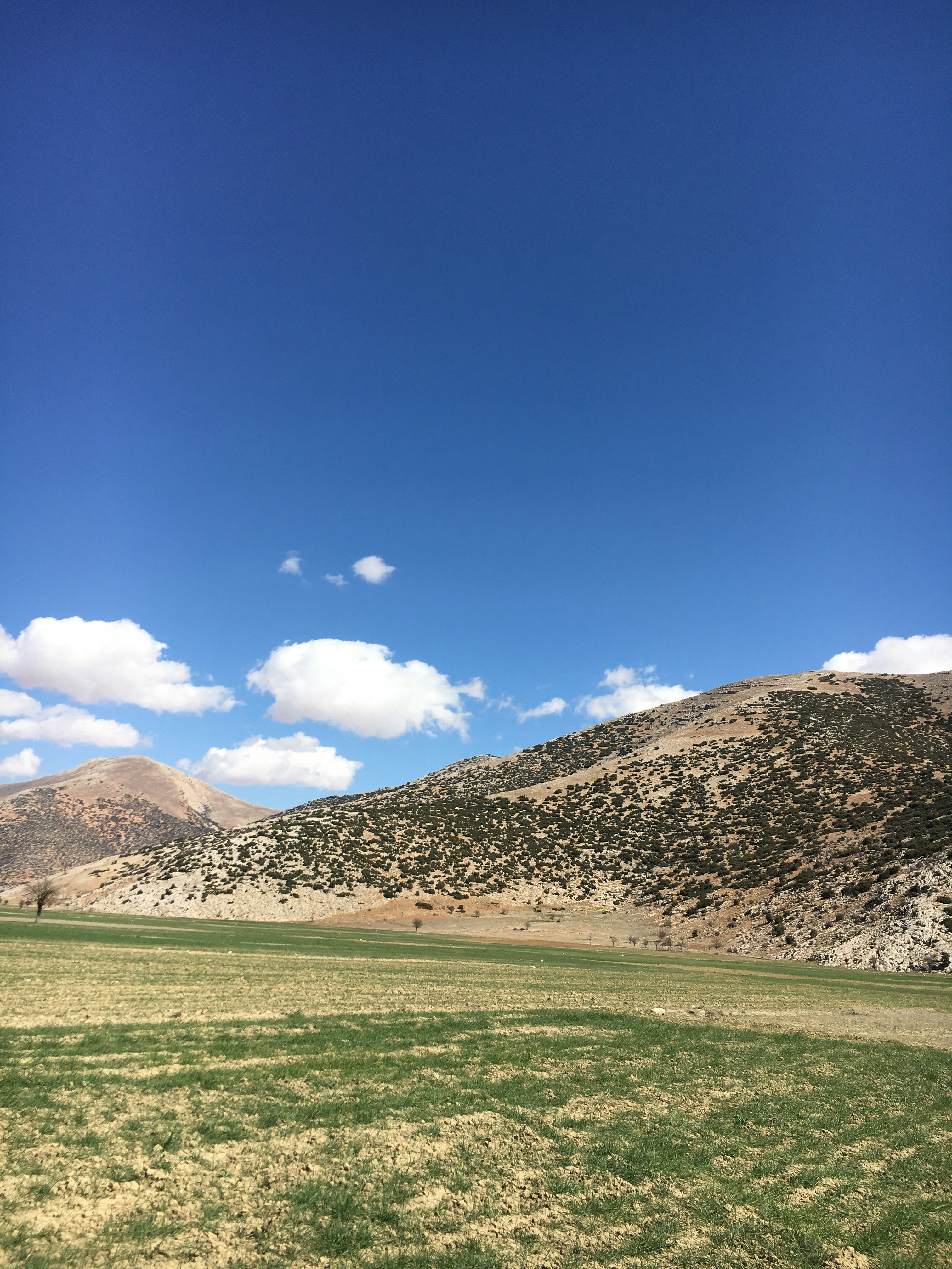 Photo by serifebetulbilge