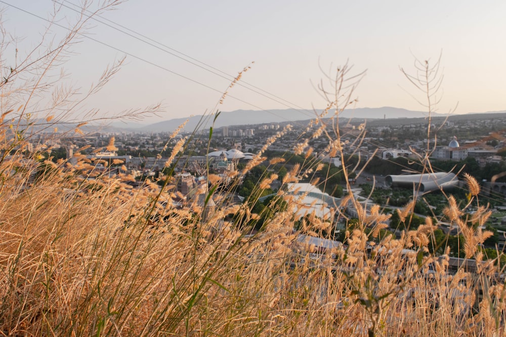 Blick auf eine Stadt von der Spitze eines Hügels