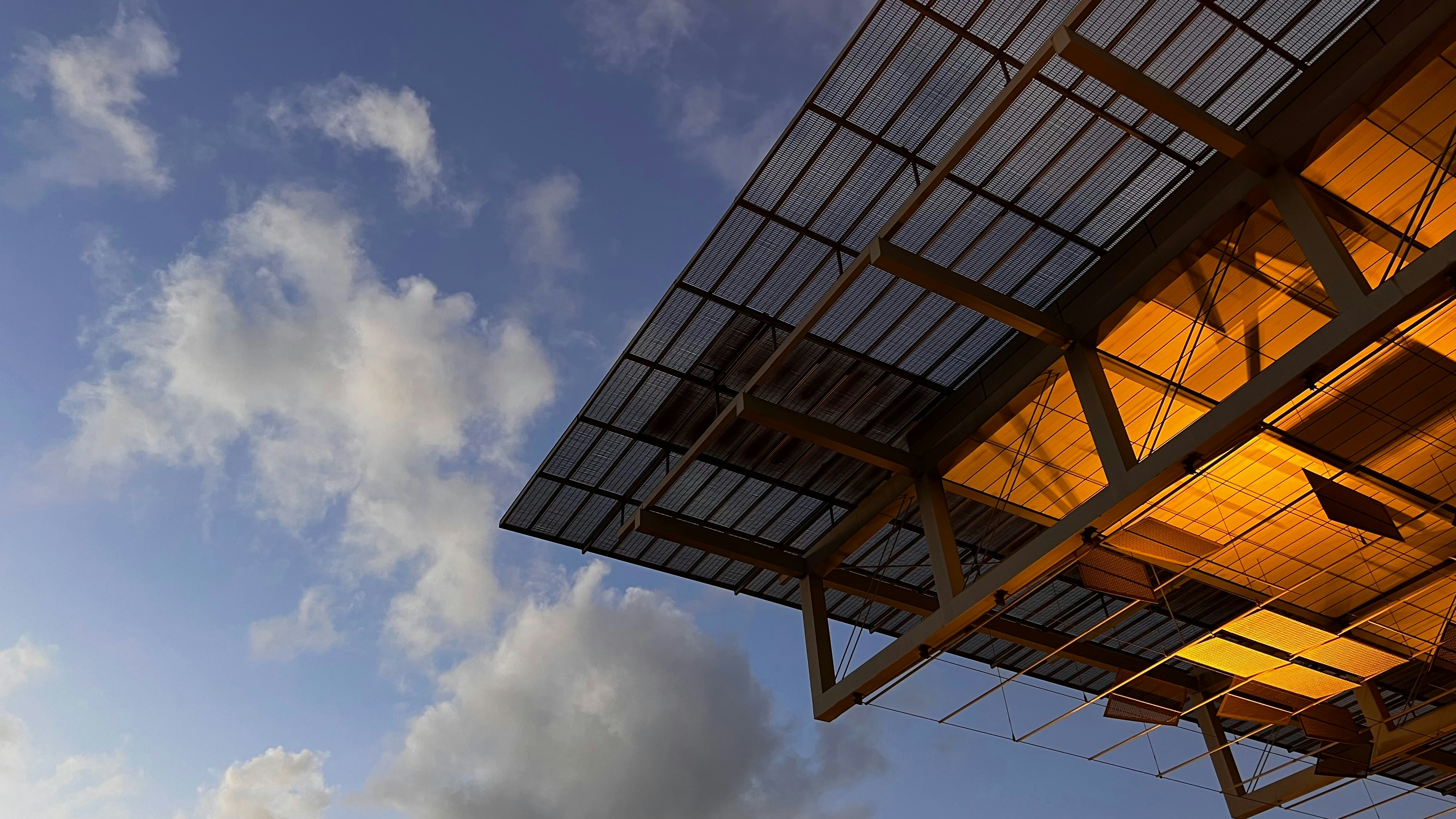Solar panels catching afternoon light