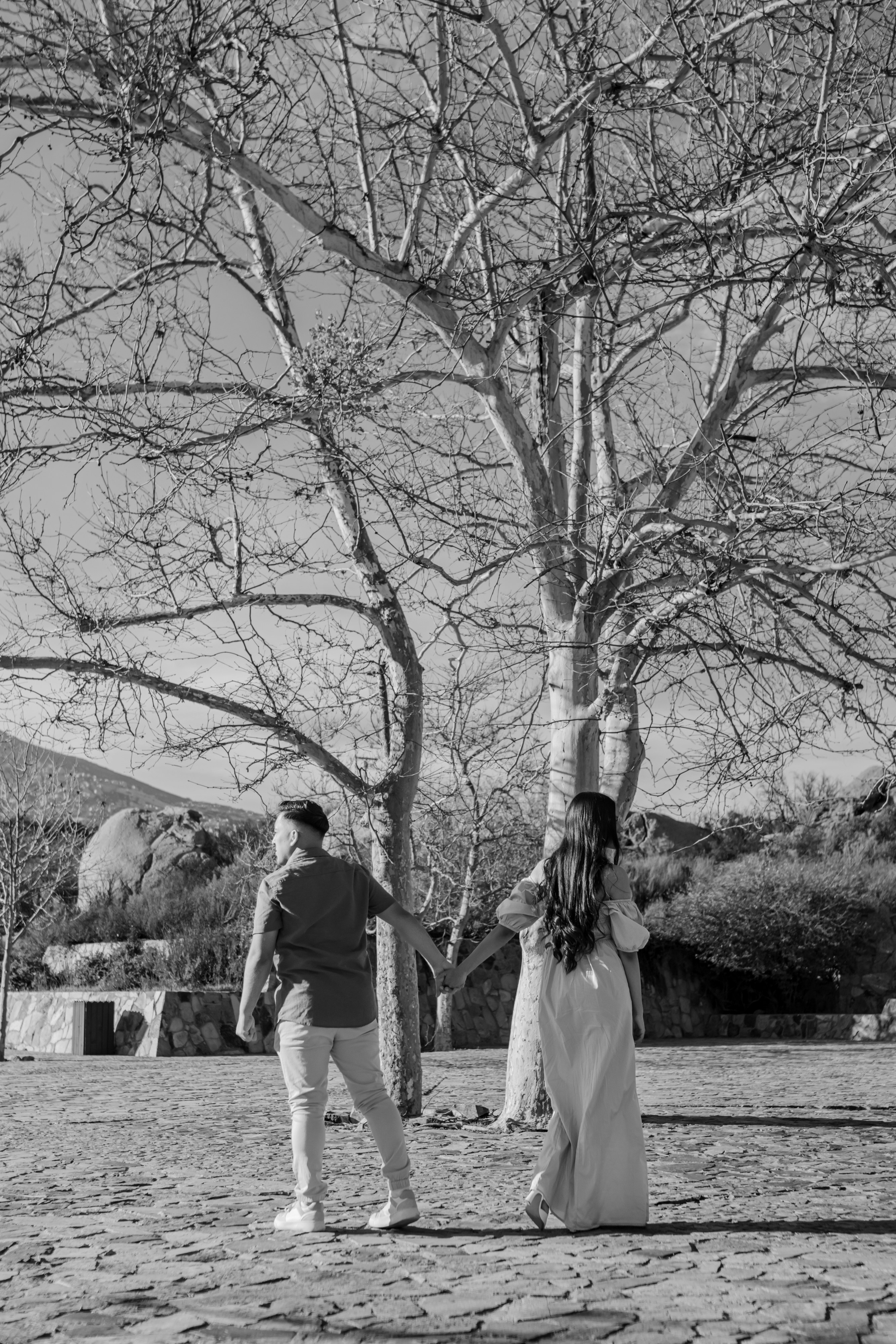 Photo by livingcolortj