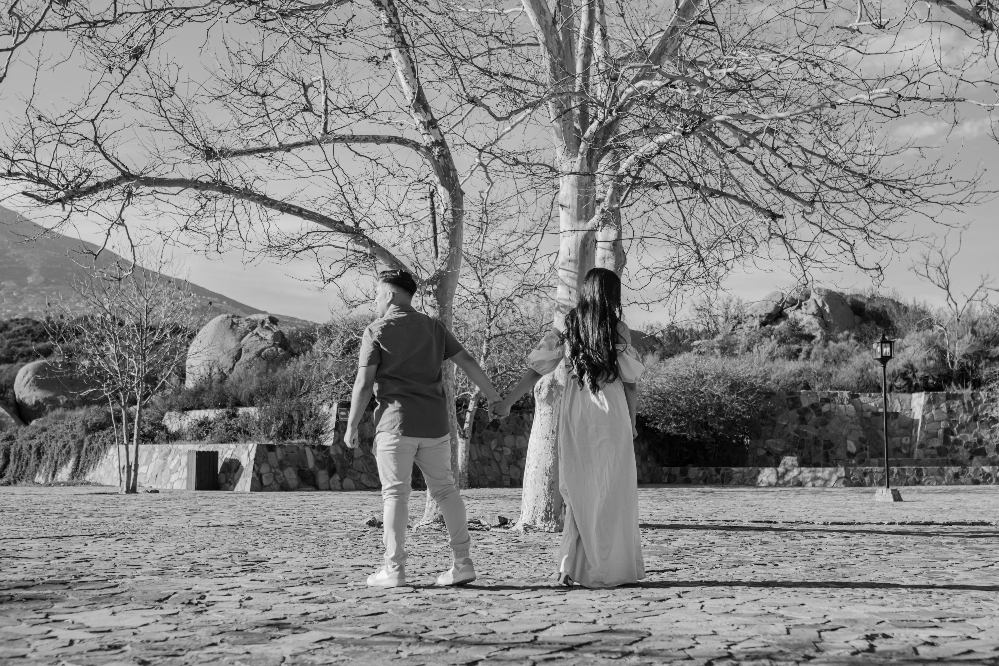 Photo by livingcolortj