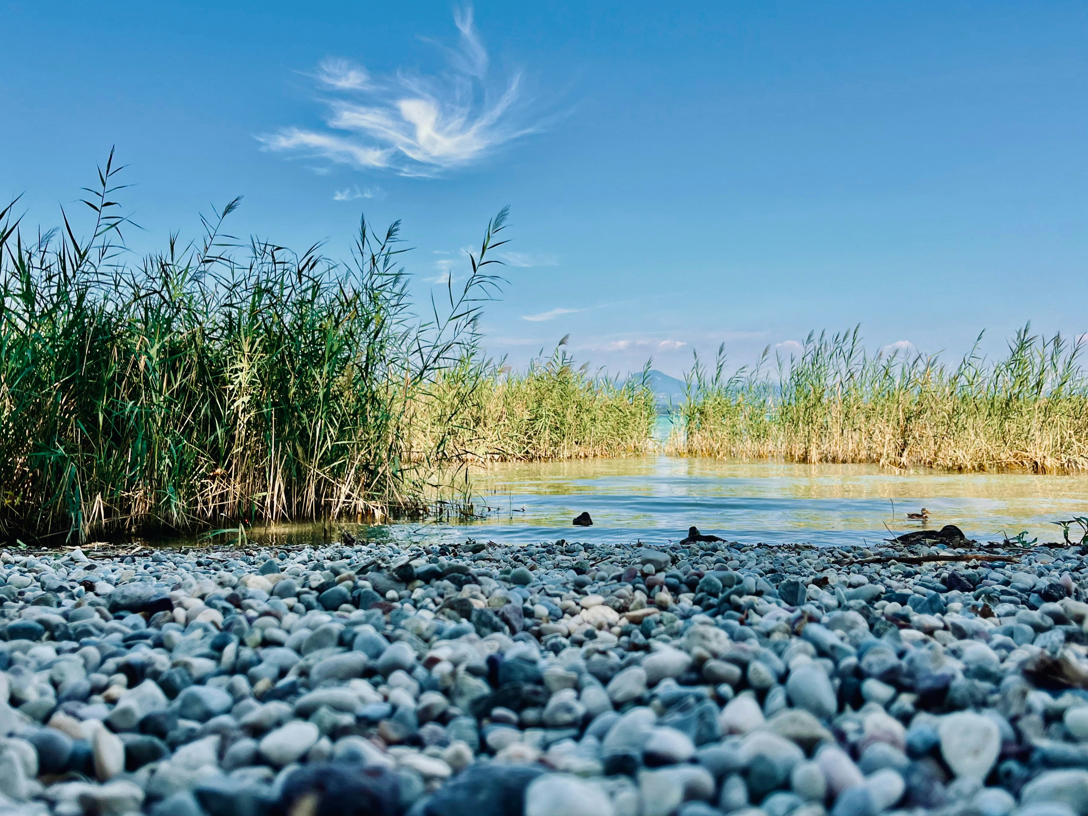 Photo by gianvittorio