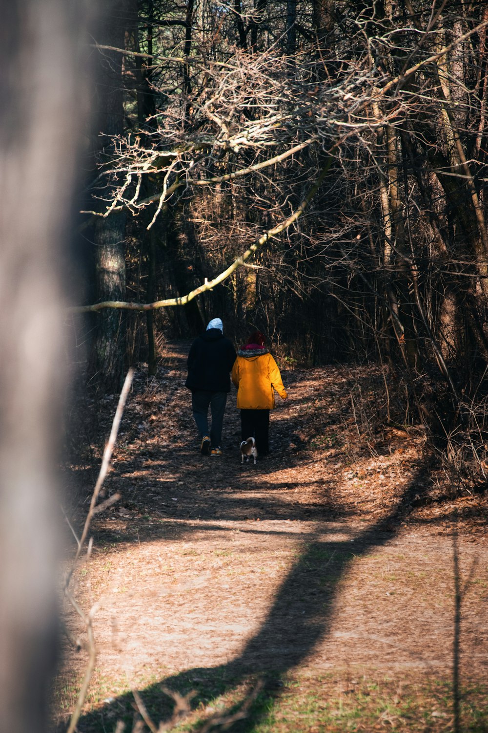 two people walking down a path in the woods