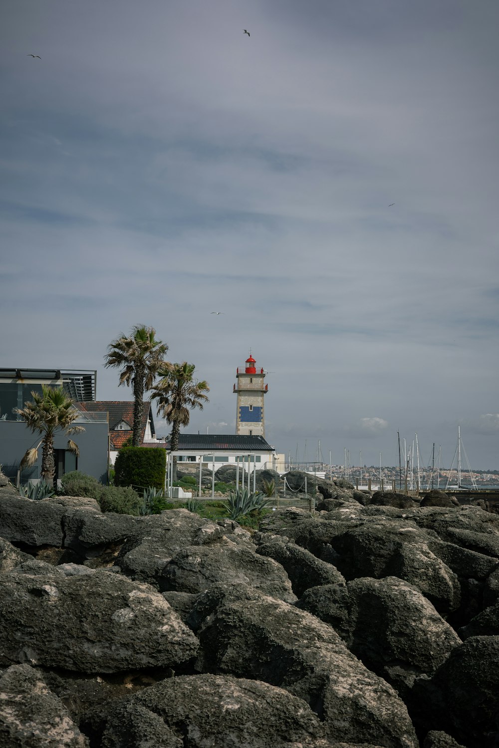 a lighthouse on a rocky shore with palm trees