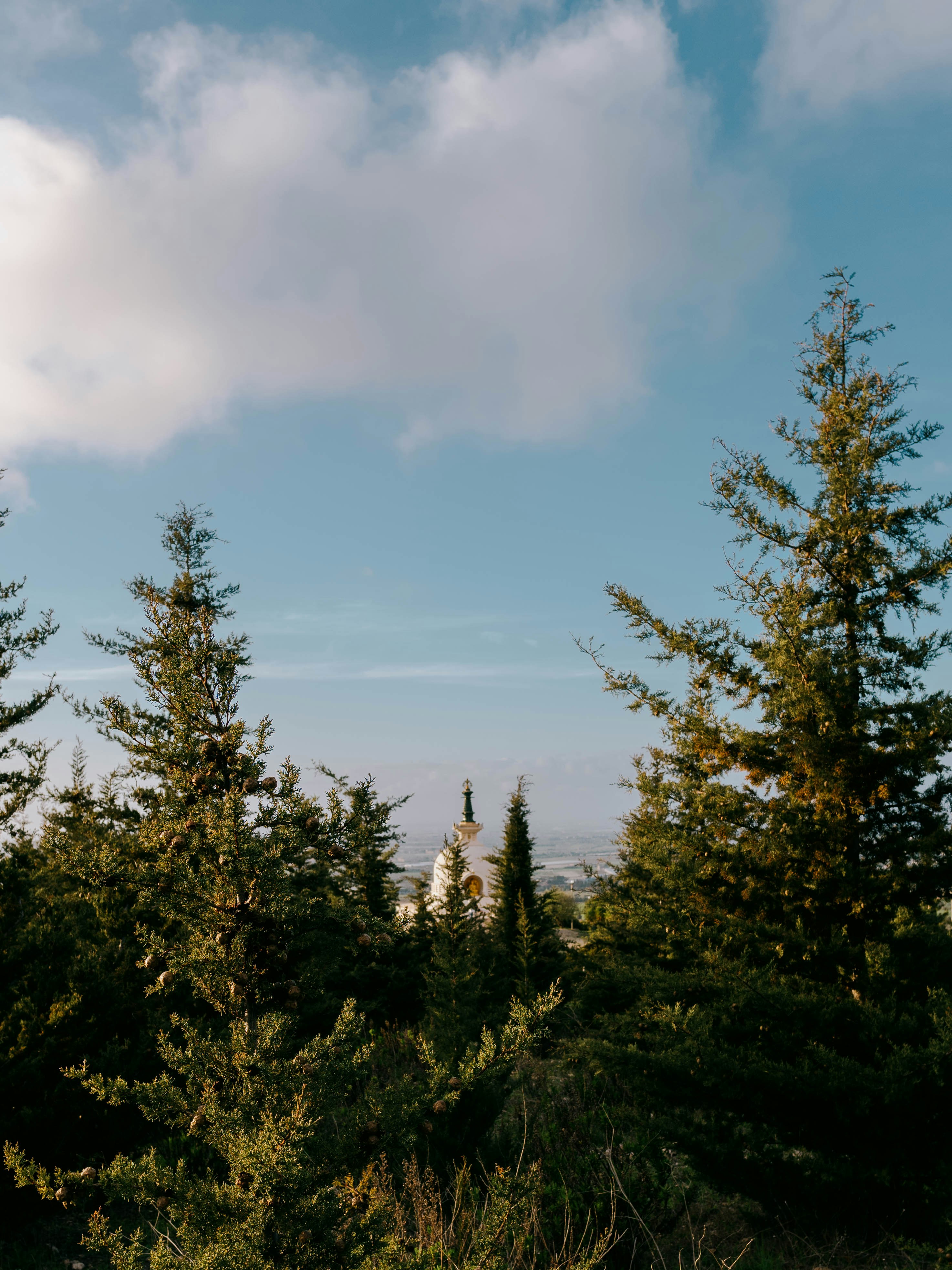 Photo by mrpeppeocchipinti