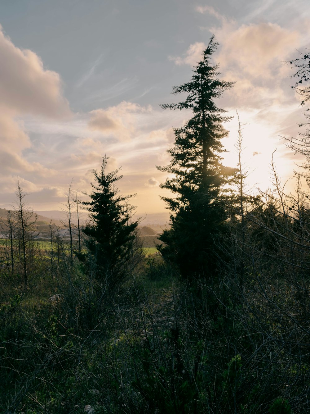 the sun is shining through the clouds over the trees