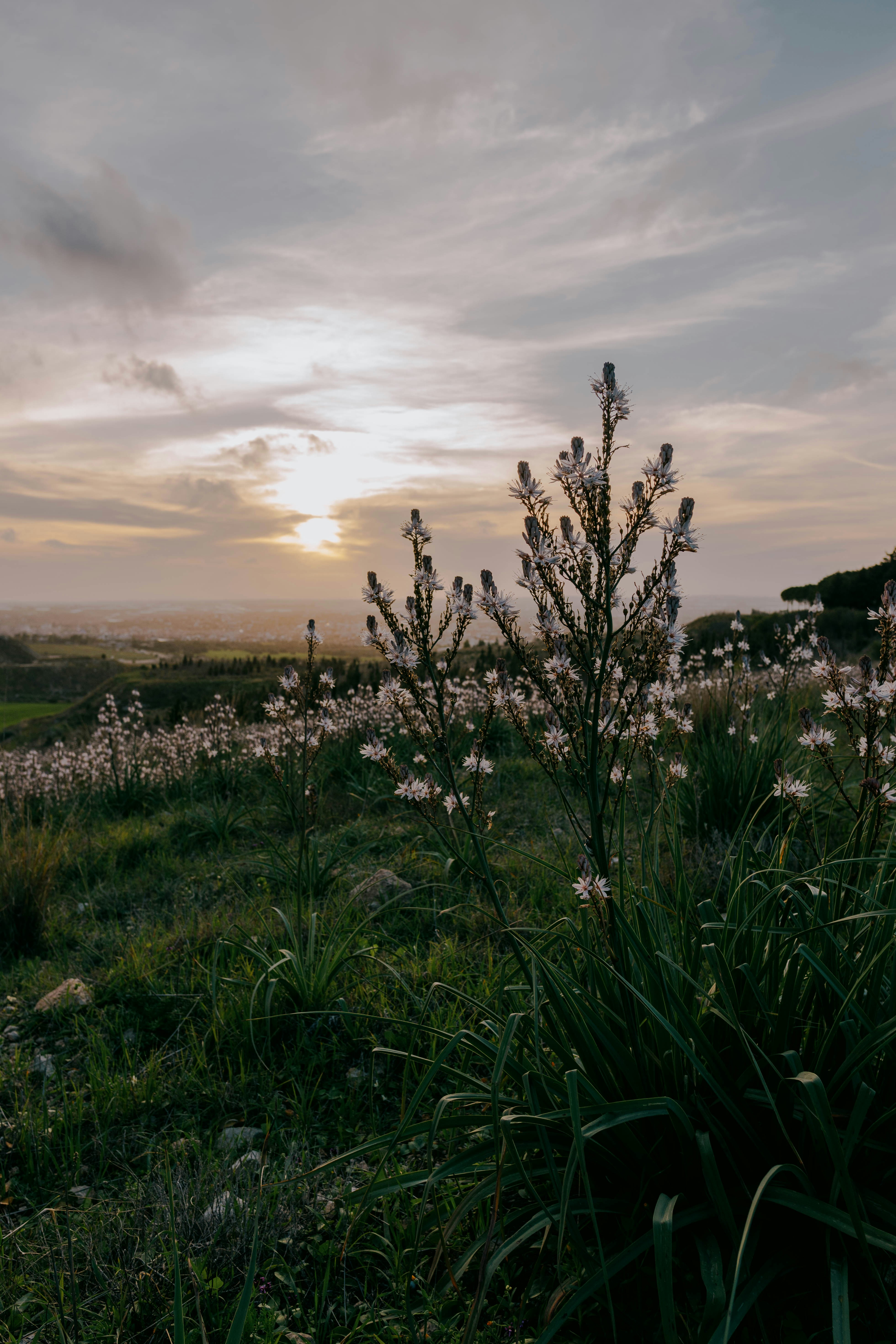 Photo by mrpeppeocchipinti