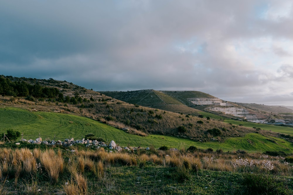 a lush green hillside covered in lots of grass