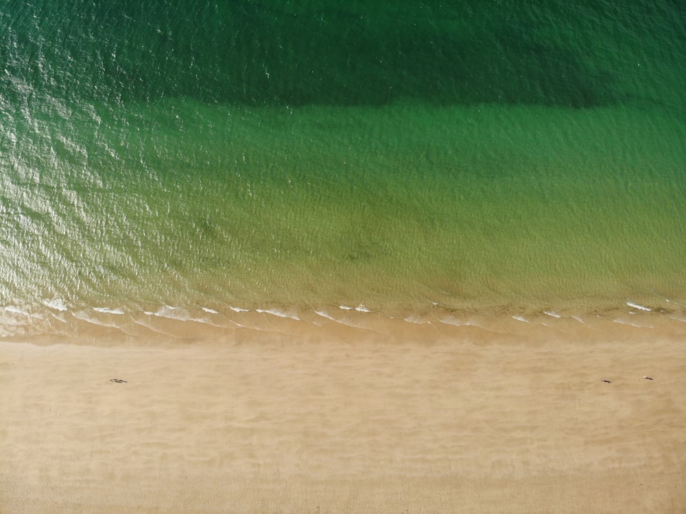 Una vista aérea de una playa de arena y el océano