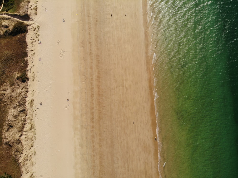 an aerial view of a sandy beach and ocean