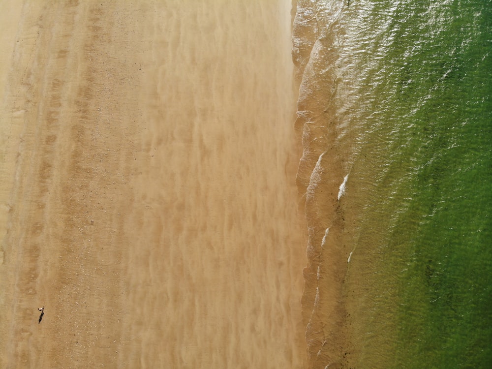 uma vista aérea de uma praia de areia e oceano