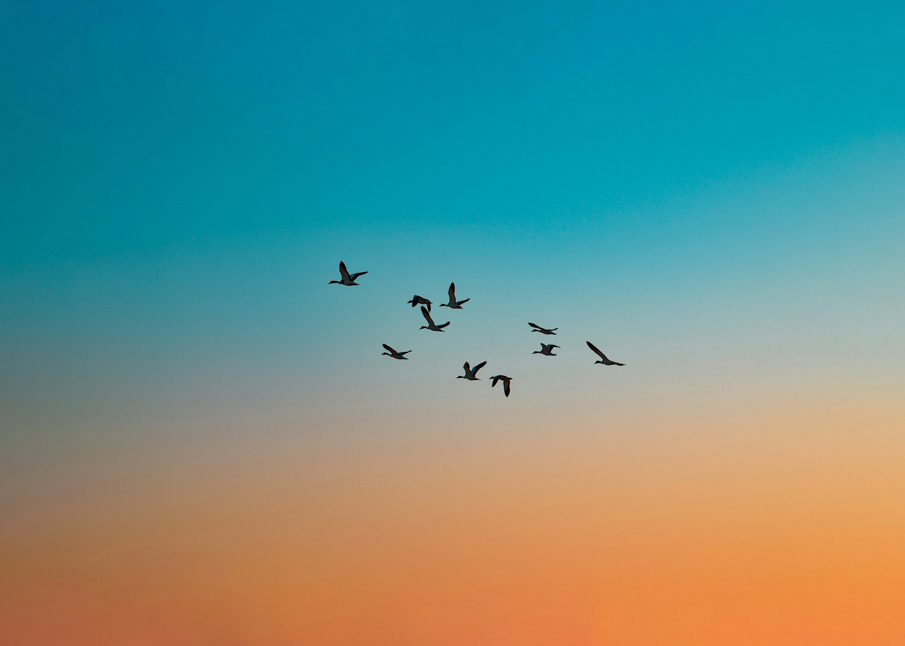 Photo by jahan_photobox