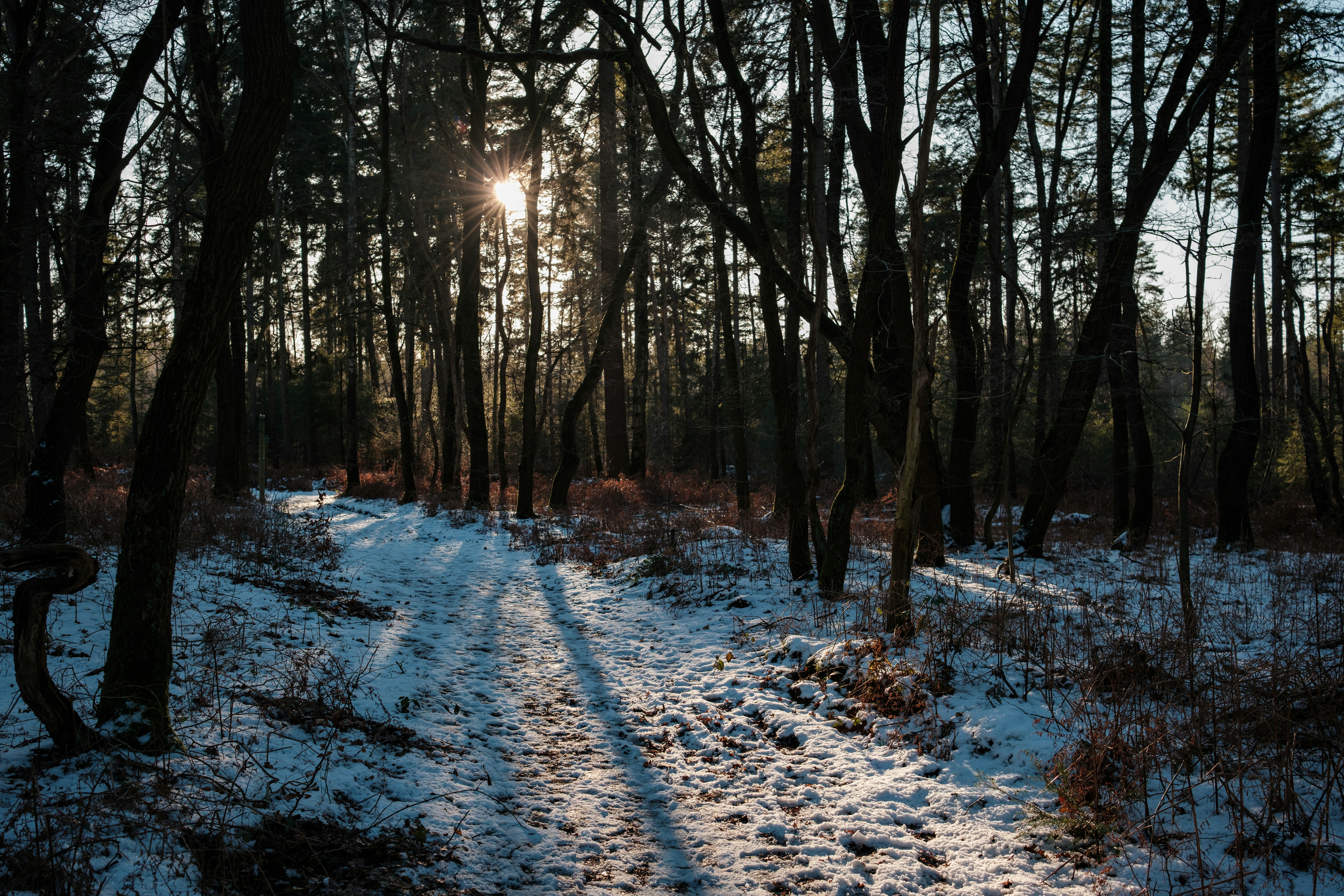 Photo by haberdoedas2