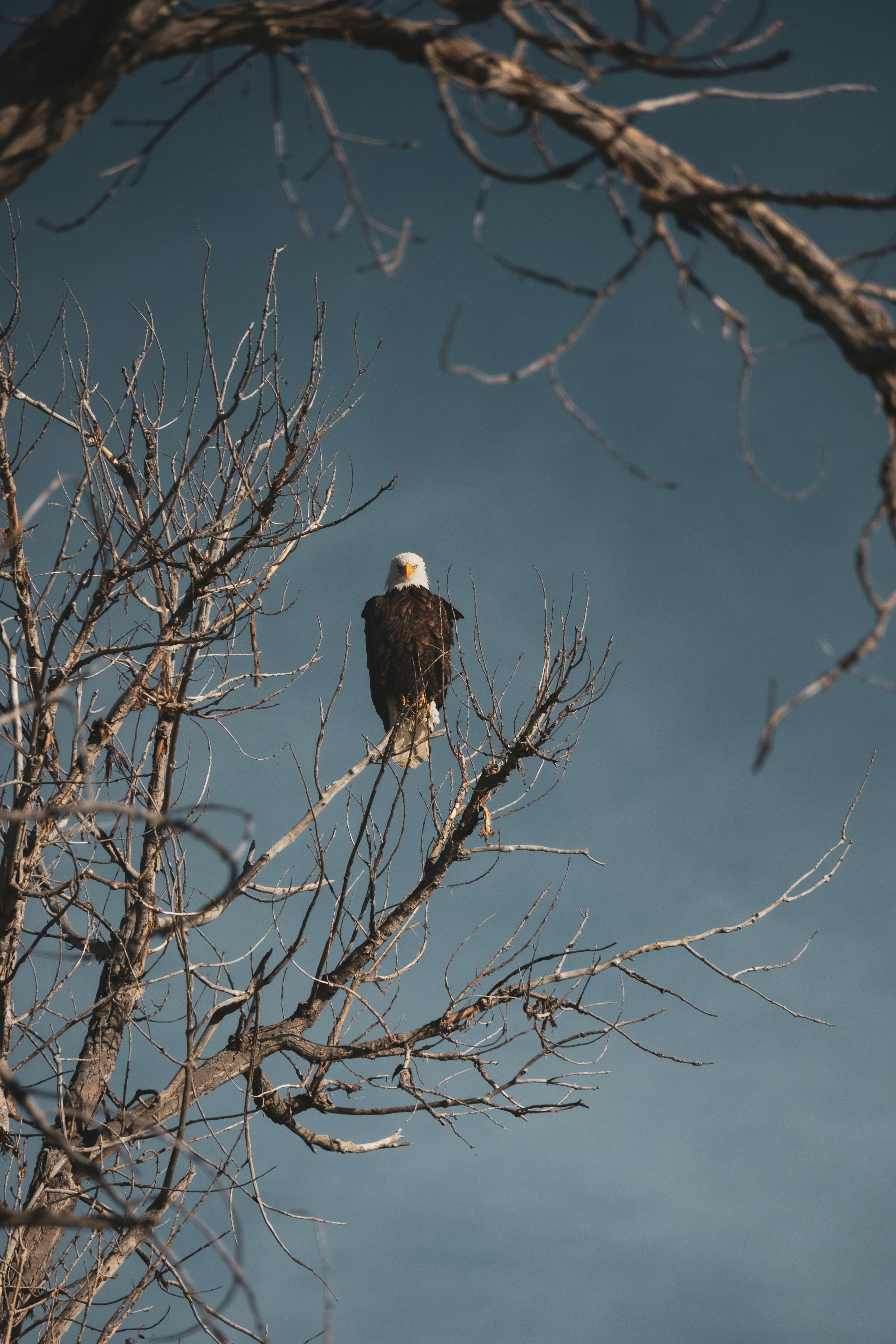 Photo by brandonstoll