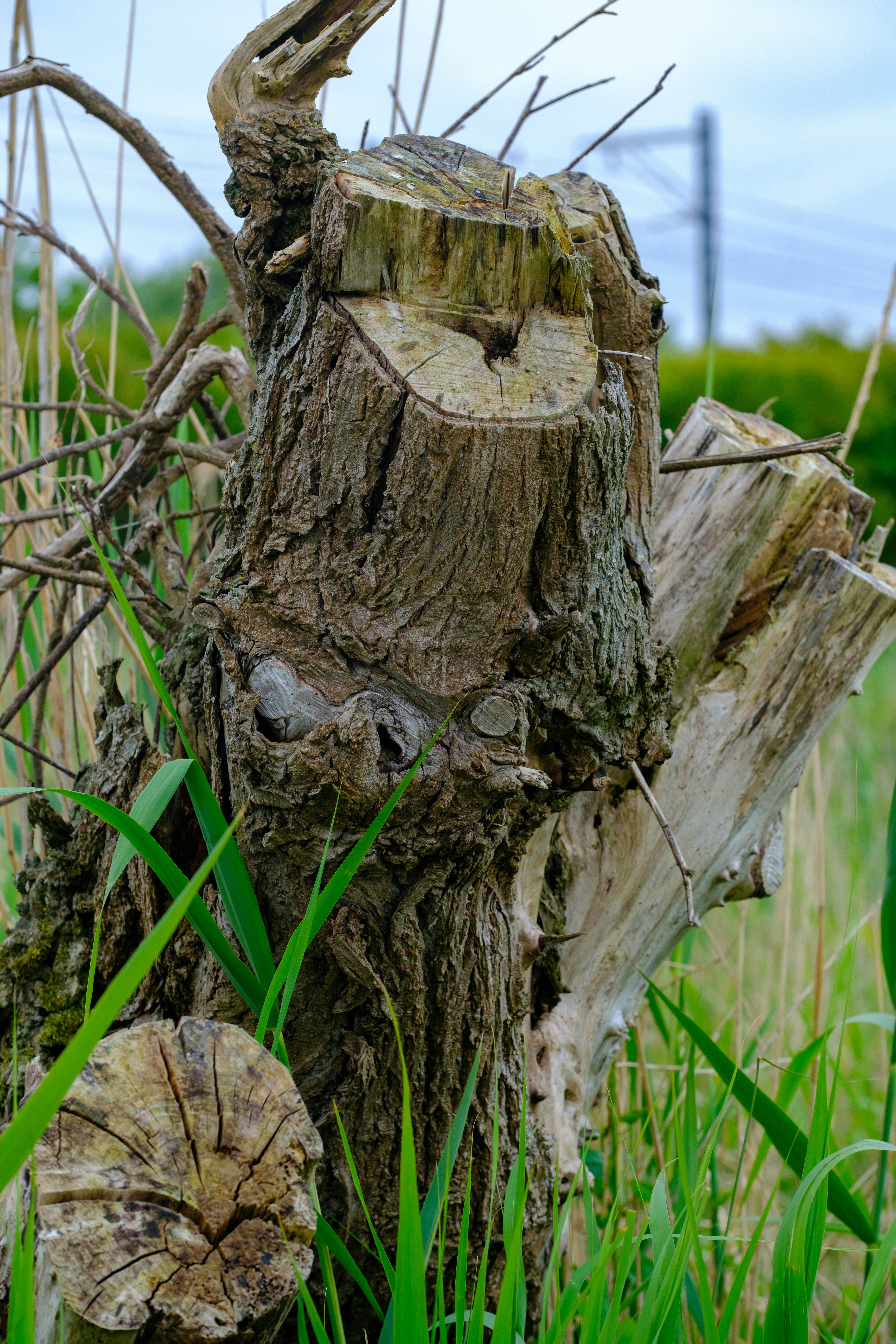 Photo by haberdoedas2