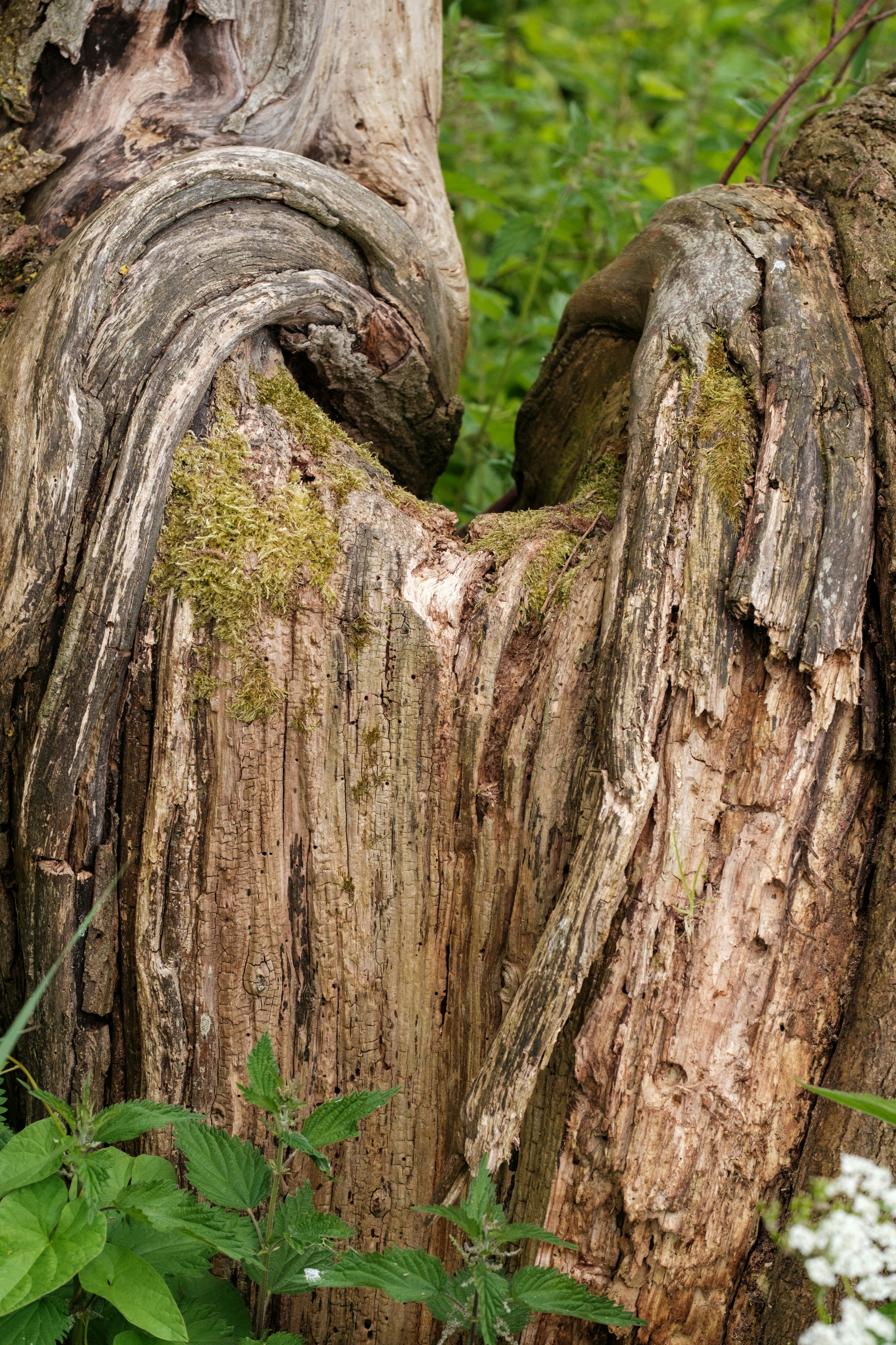 Photo by haberdoedas2