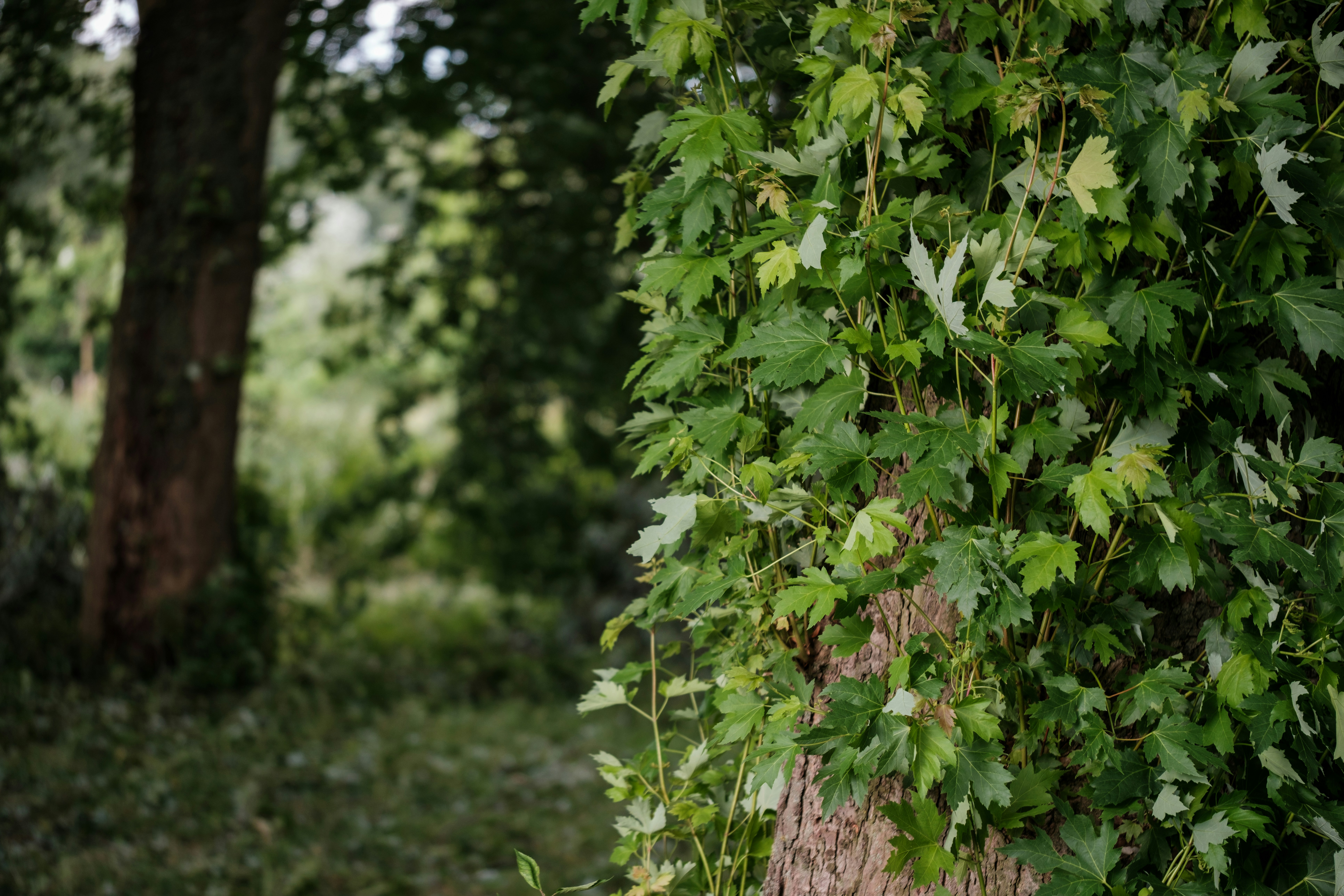 Photo by haberdoedas2