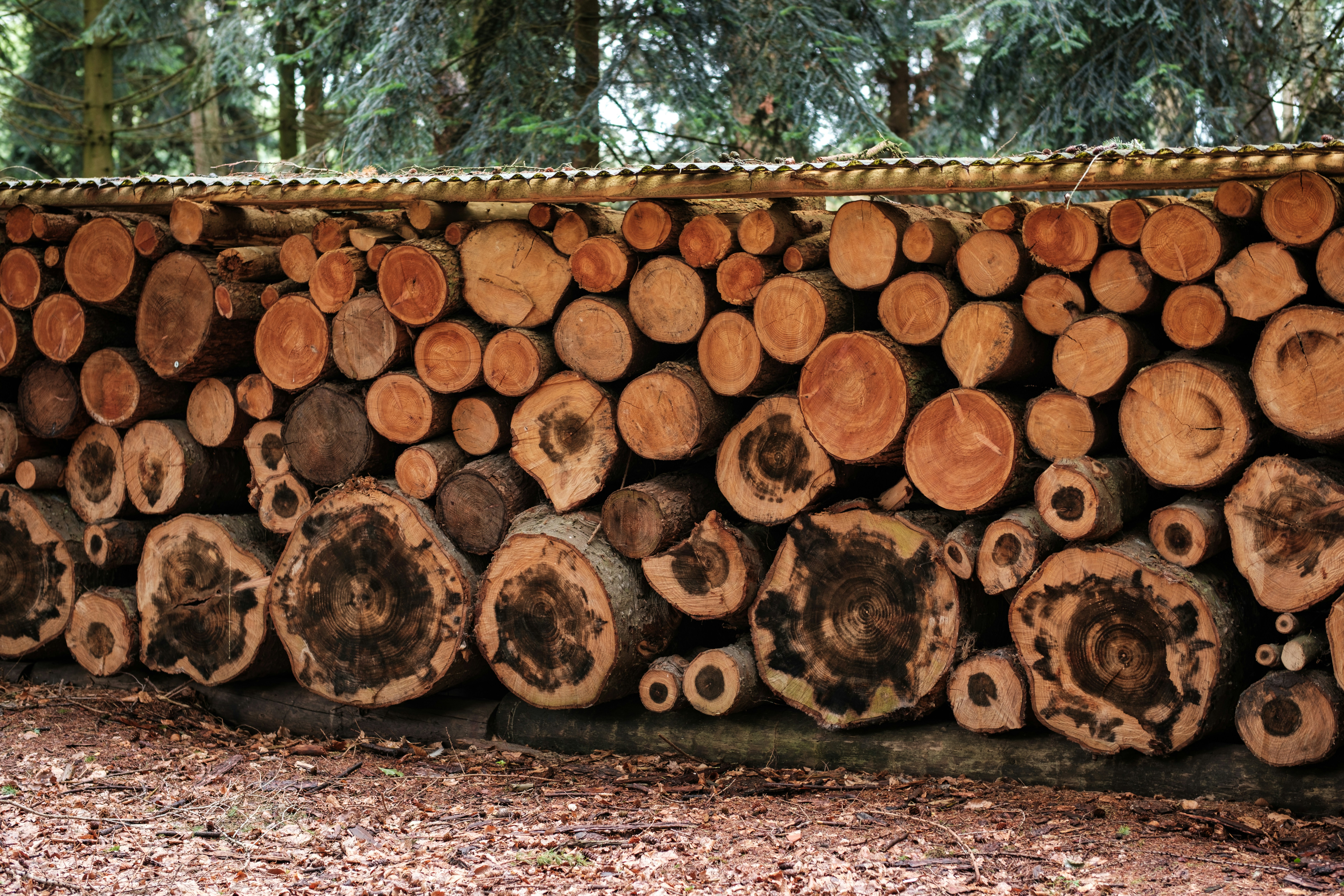 Checkmk Monitoring and logging