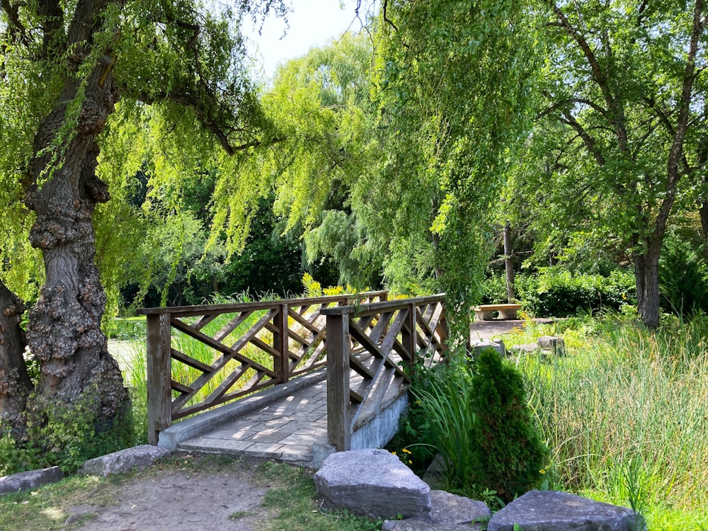 a wooden bridge over a small stream in a park