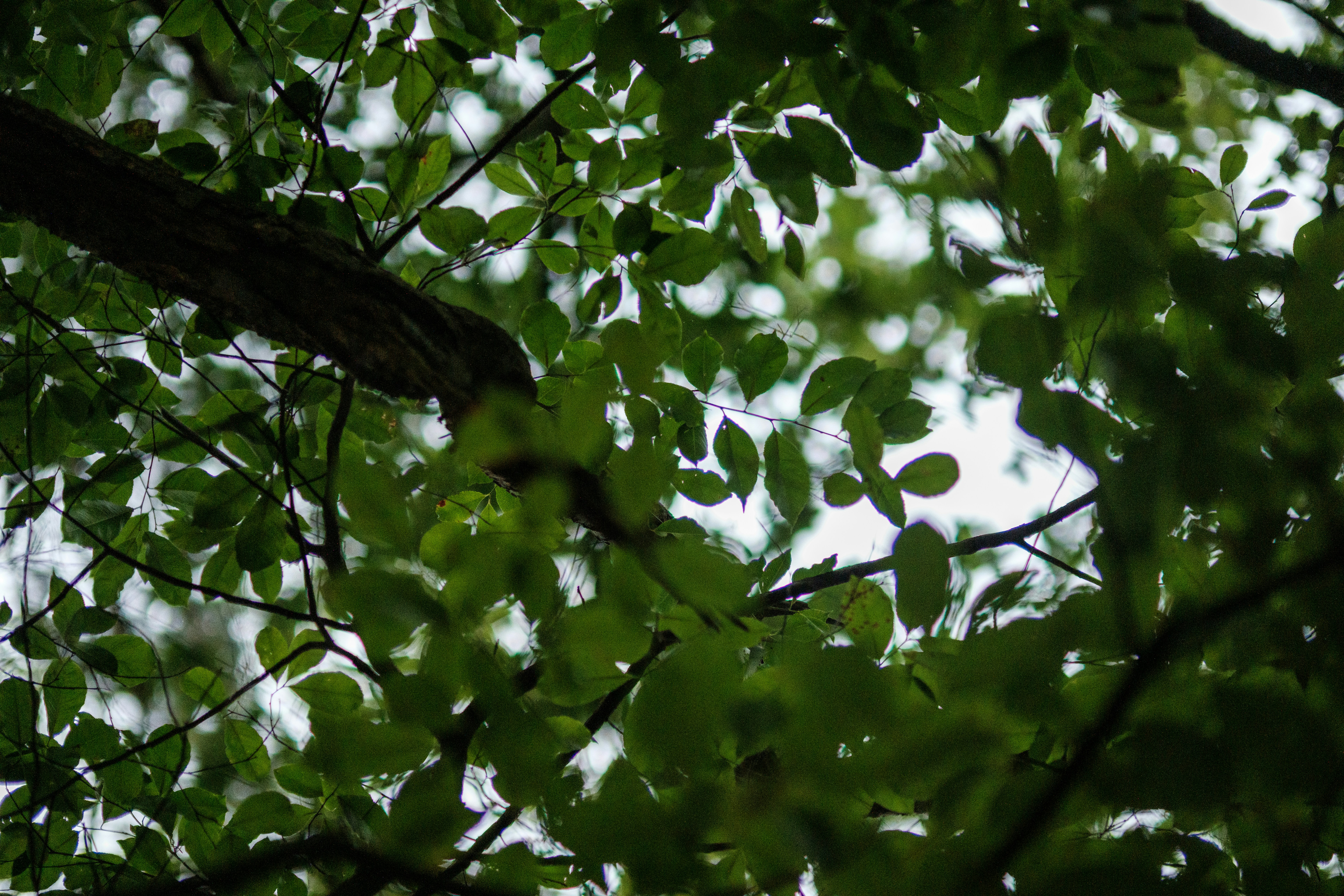 Photo by haberdoedas2