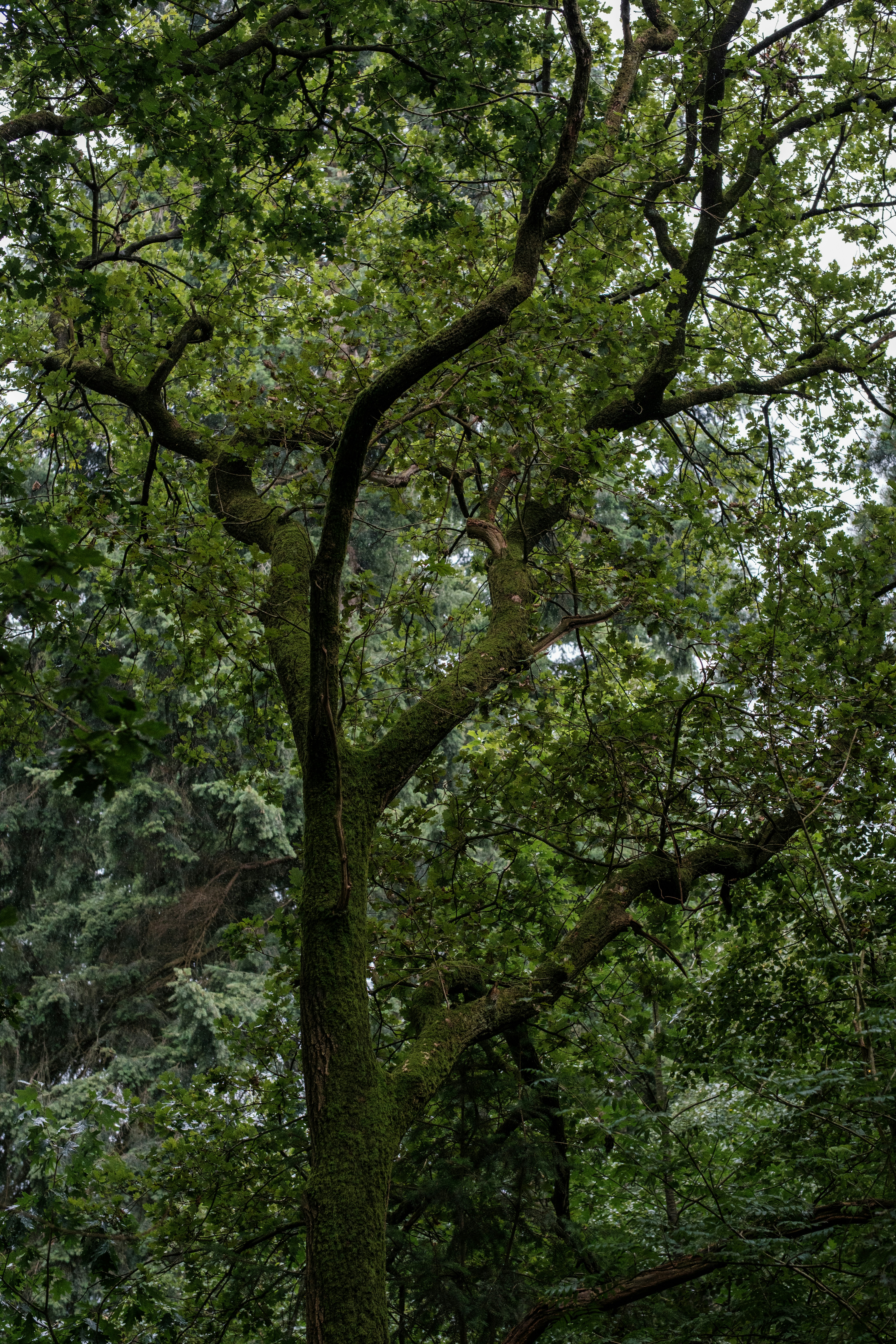 Photo by haberdoedas2