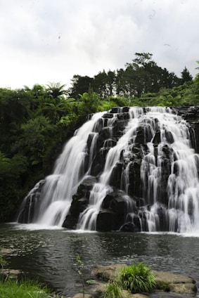 a large waterfall in the middle of a forest