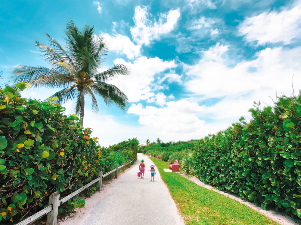 a couple of people walking down a road next to a lush green field